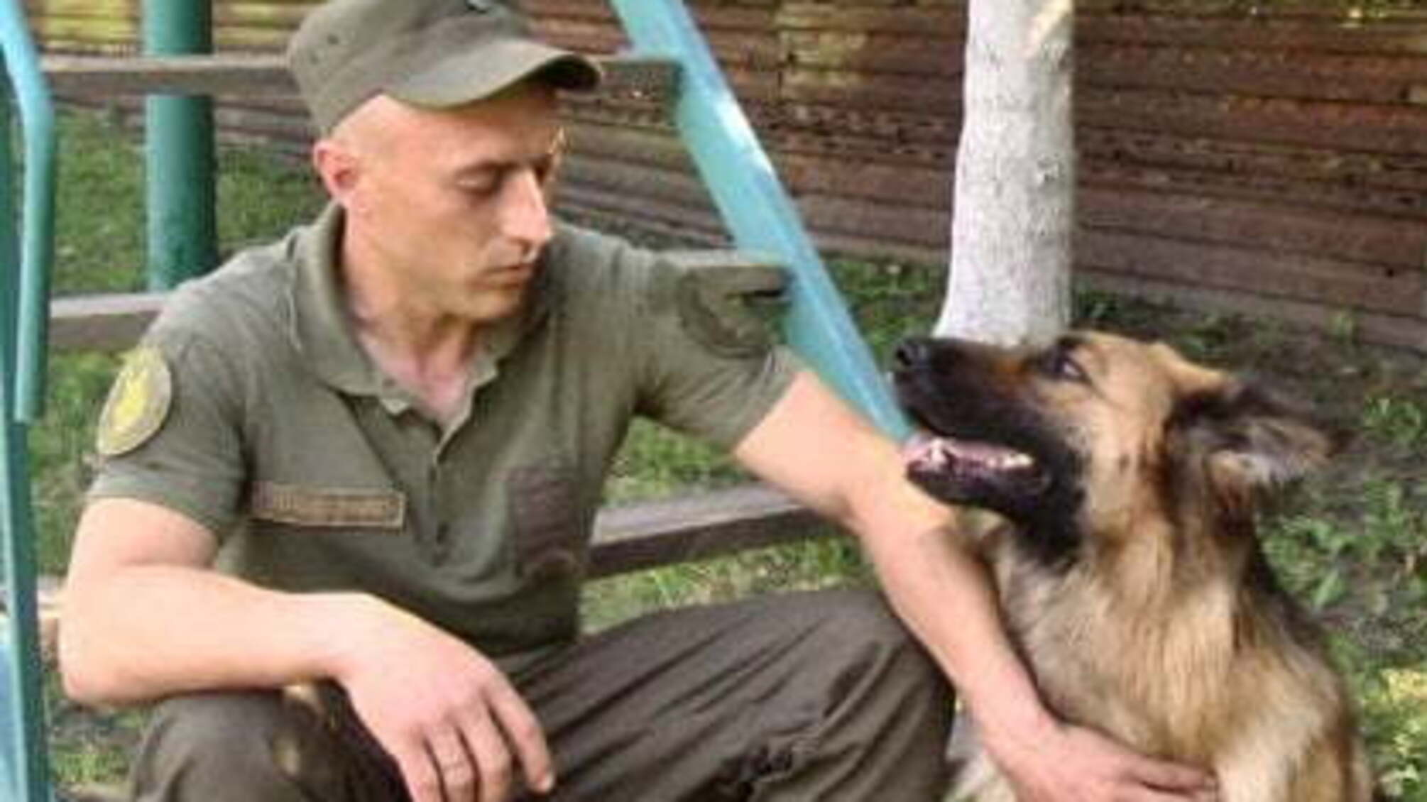 На Донбасі собака знайшов схованку з боєприпасами