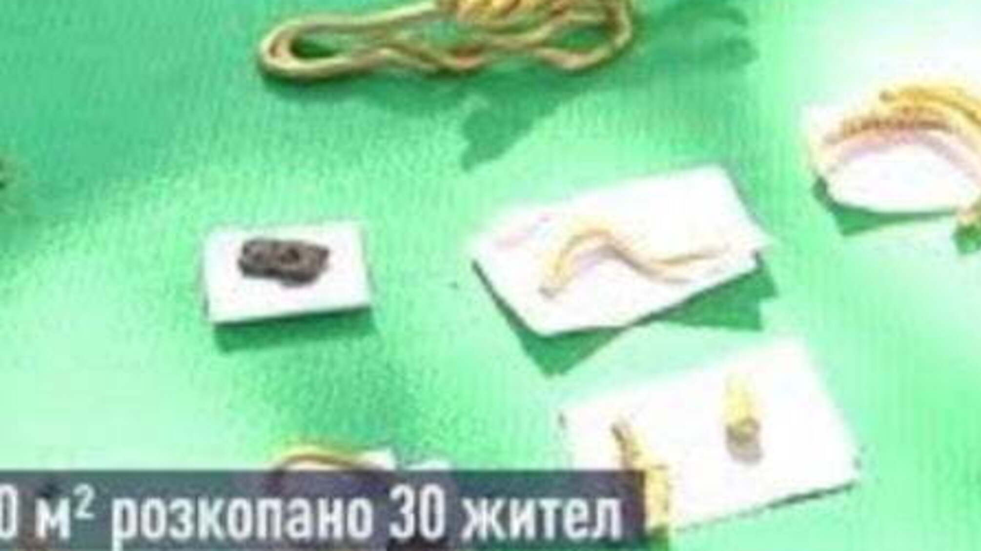 Археологи показали скарби давнього народу, які виявили на Закарпатті