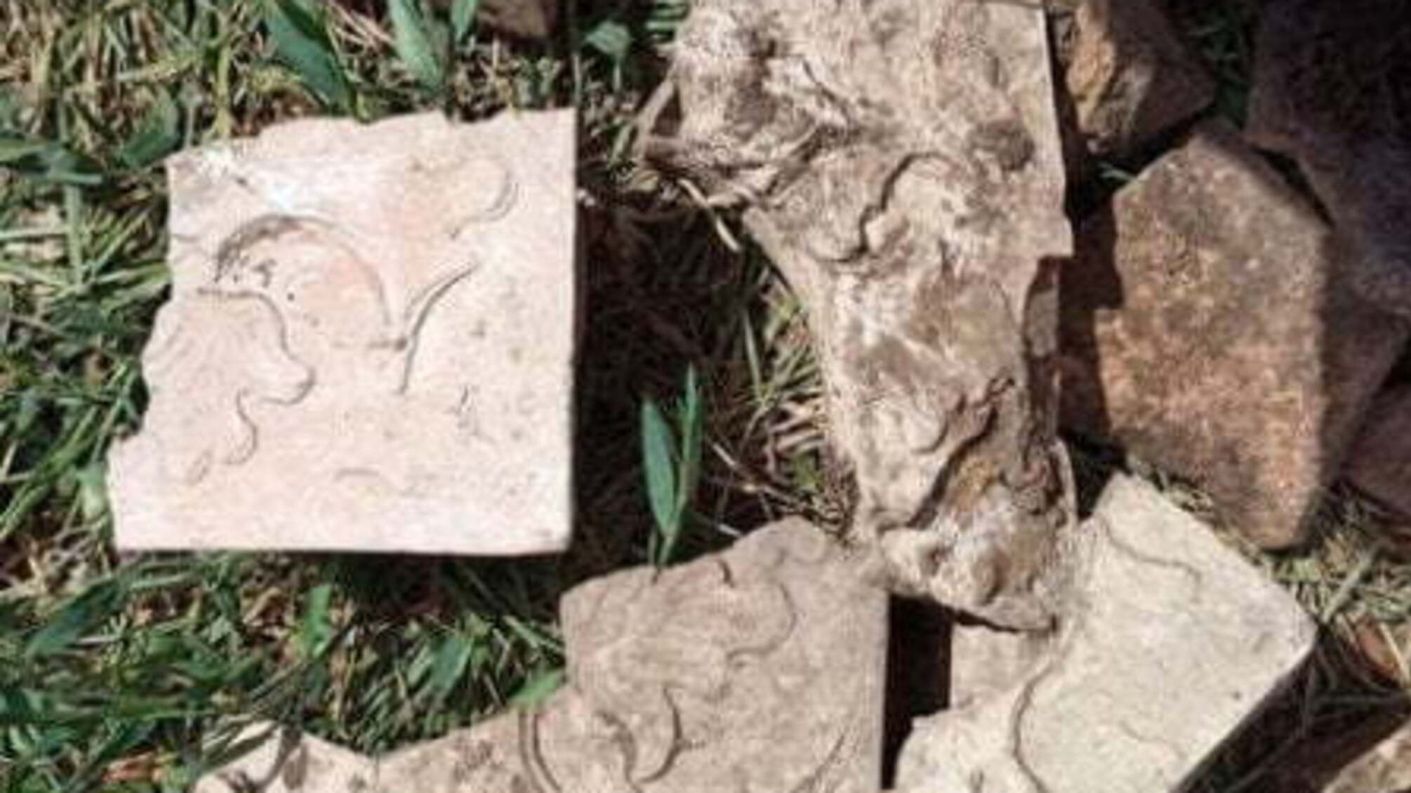 Біля Дніпра розкопали залишки давнього міста5
