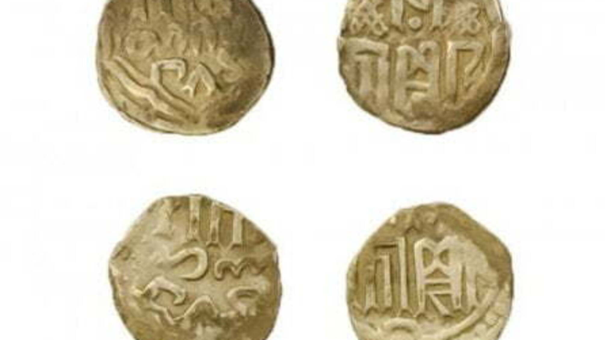 На березі річки знайшли монети Золотої орди