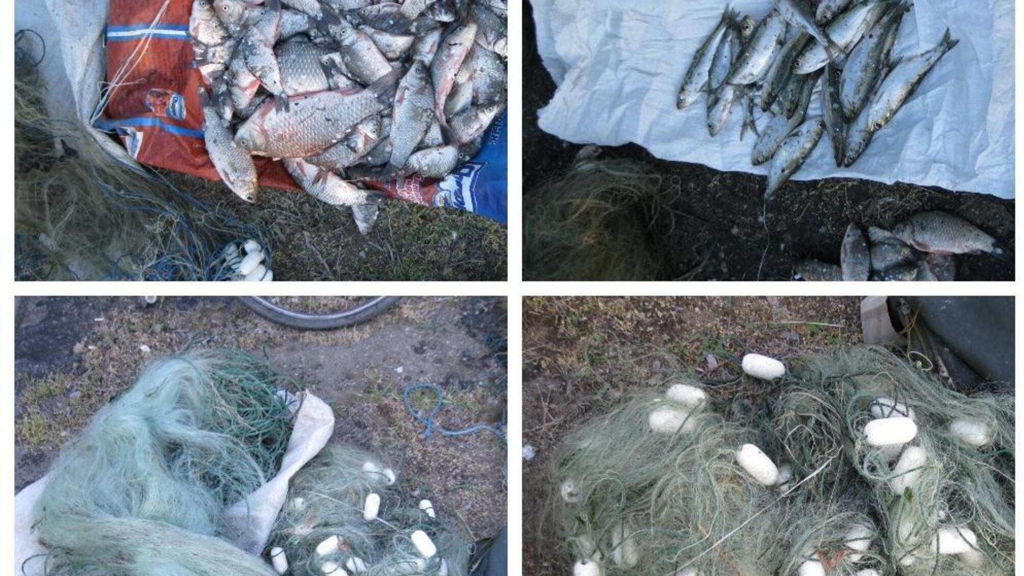 Поліцейські оголосили підозру в незаконному зайнятті рибним промислом жителю Білгород-Дністровського району