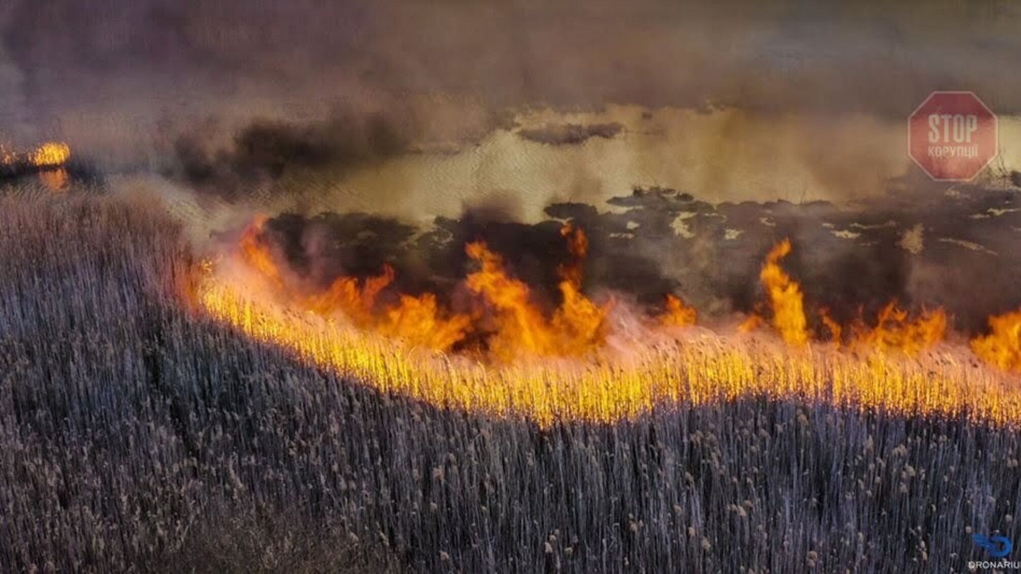 У Чорнобильській зоні досі тліє деревина після пожежі