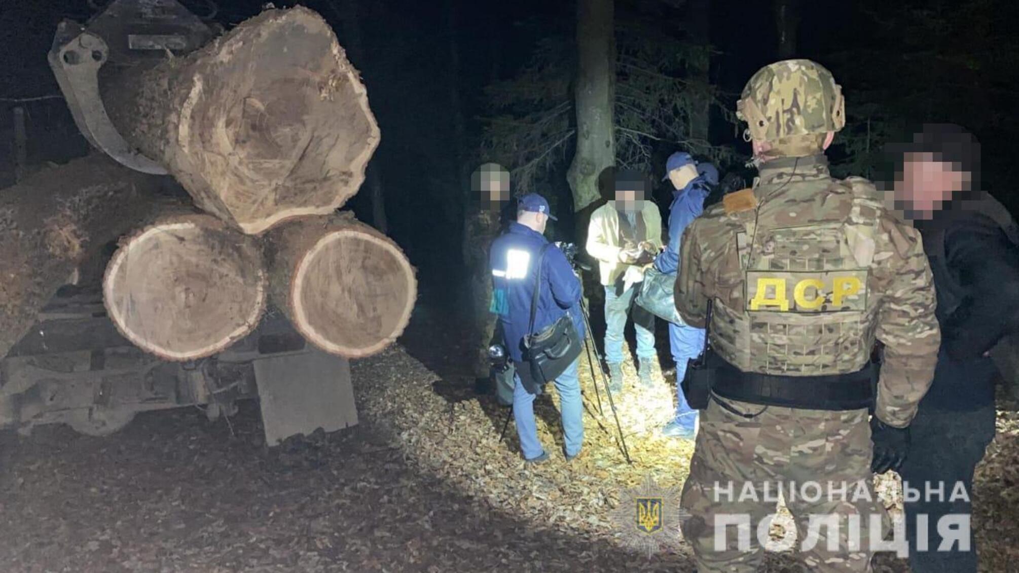 На Львівщині за організацію незаконної порубки лісу перед судом постануть учасники організованої злочинної групи