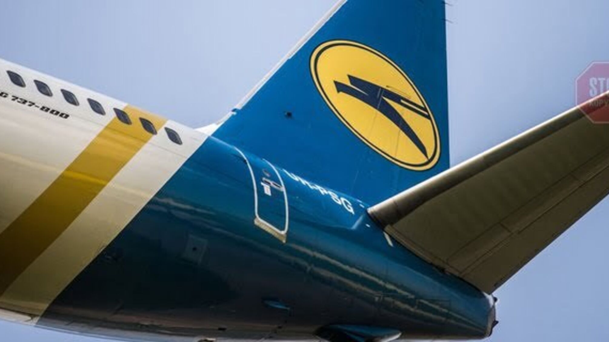 В українському літаку загинули майже 40 цуценят (відео)