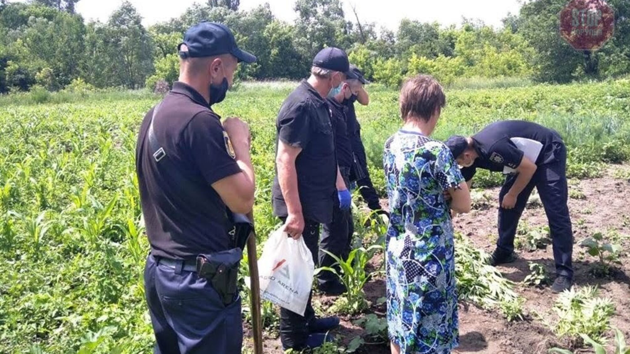 На Кіровогрaдщині чоловік на городі вирощував марихуану (фото)
