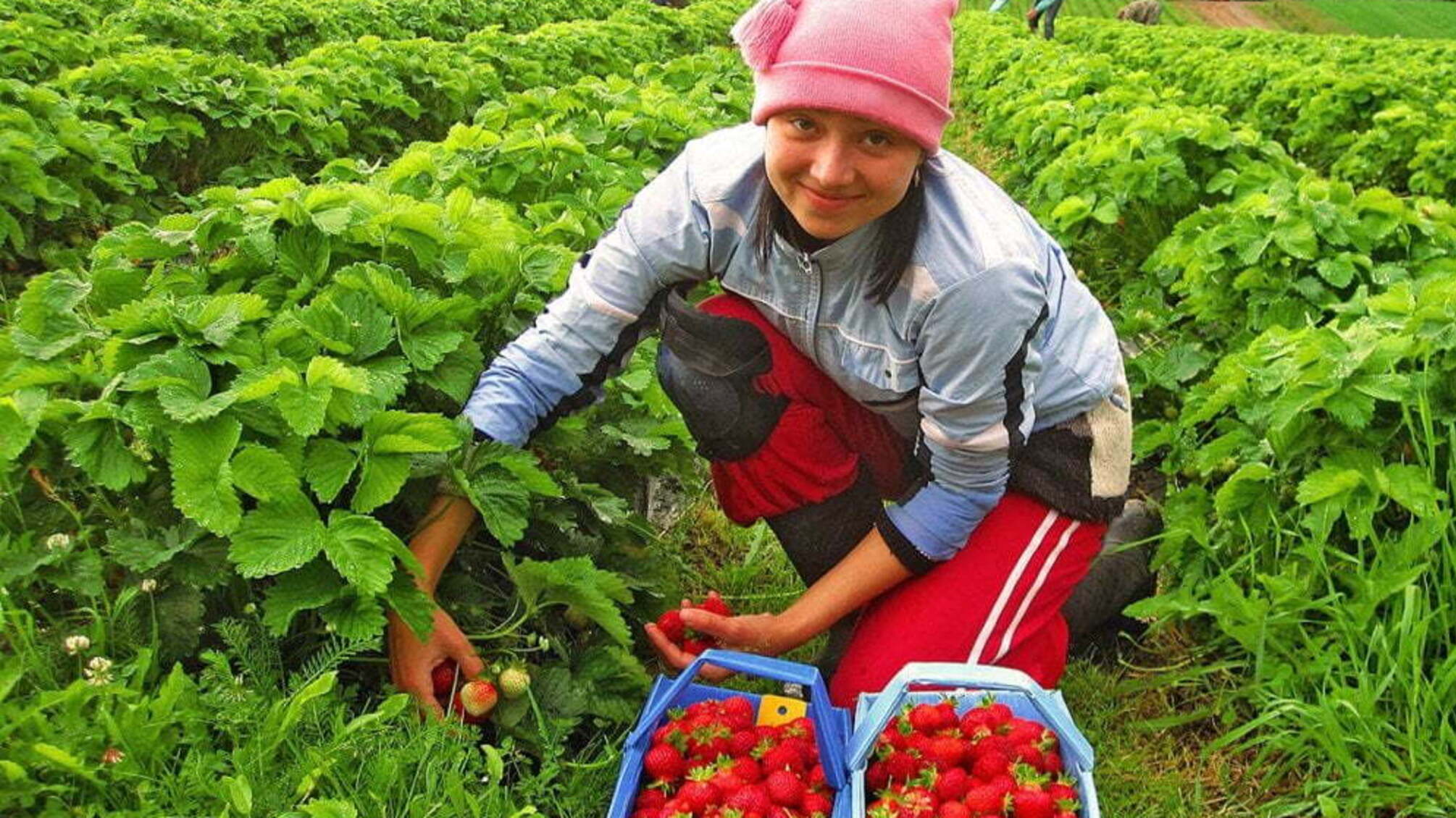 Польща і Україна хочуть відкрити кордони для сезонних працівників