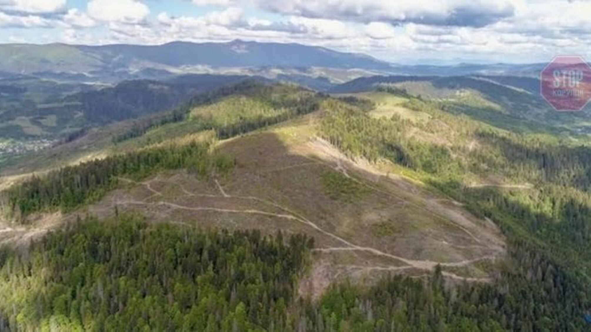 Журналісти показали, як вирубують Карпати (фото)