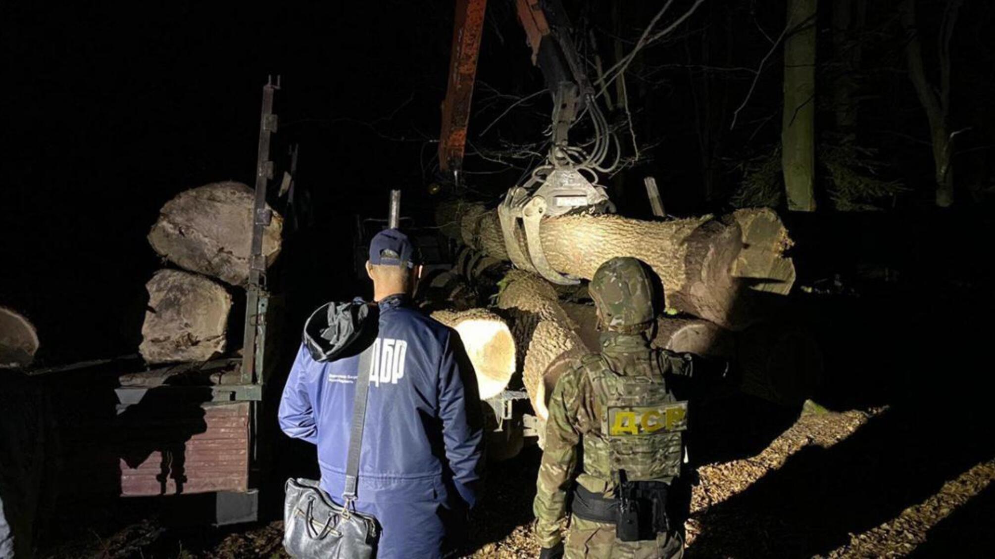 Понад 1,2 мільйони гривень збитків внаслідок вирубки лісу – ДБР повідомило про підозру 6 учасникам злочинної групи