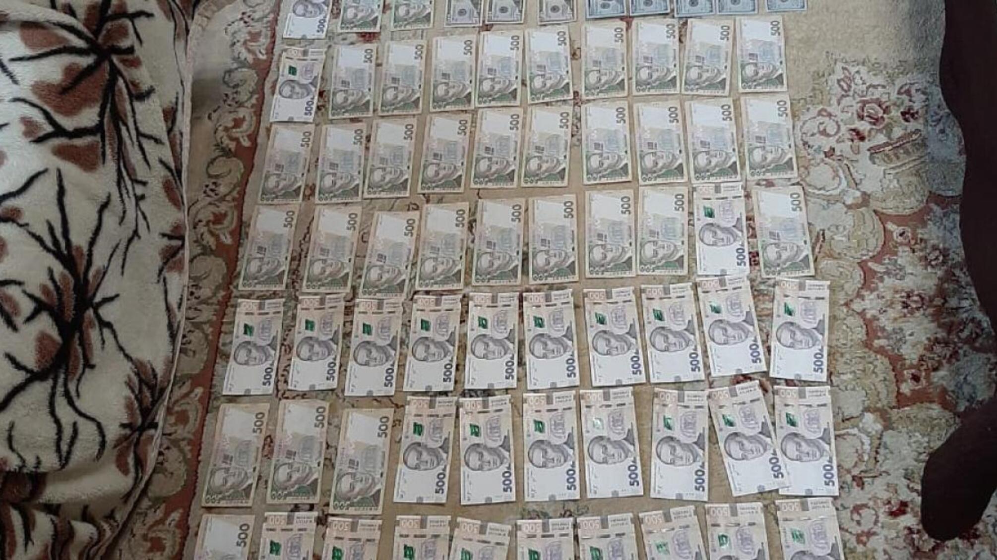 Розкрадання лісових ресурсів шляхом службового підроблення – слідчі ДБР зупинили незаконну діяльність