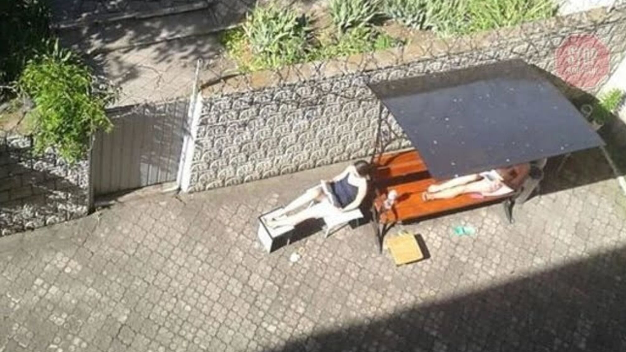 Винуватиця смертельної ДТП в Харкові засмагає у виправному центрі (фото)