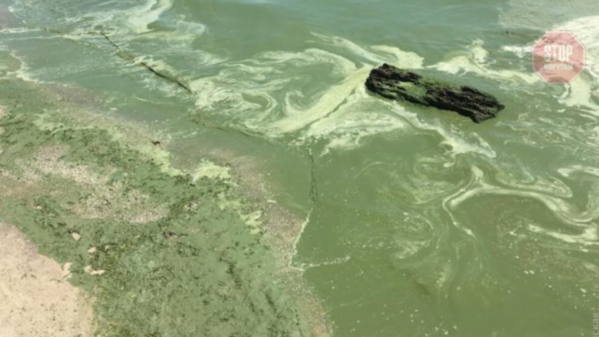 Купатися не рекомендовано: морська вода біля узбереж Одеси й Затоки не відповідає нормам