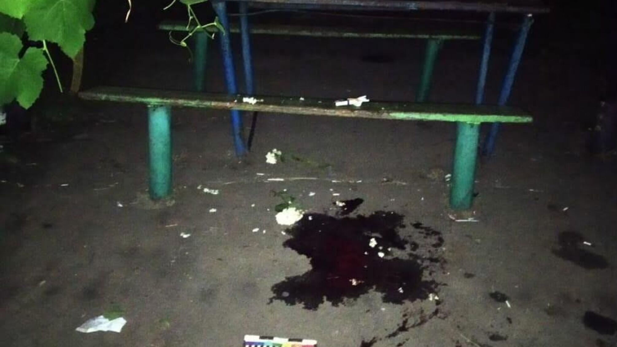 На Дніпропетровщині чоловік загинув від вибуху гранати (фото)