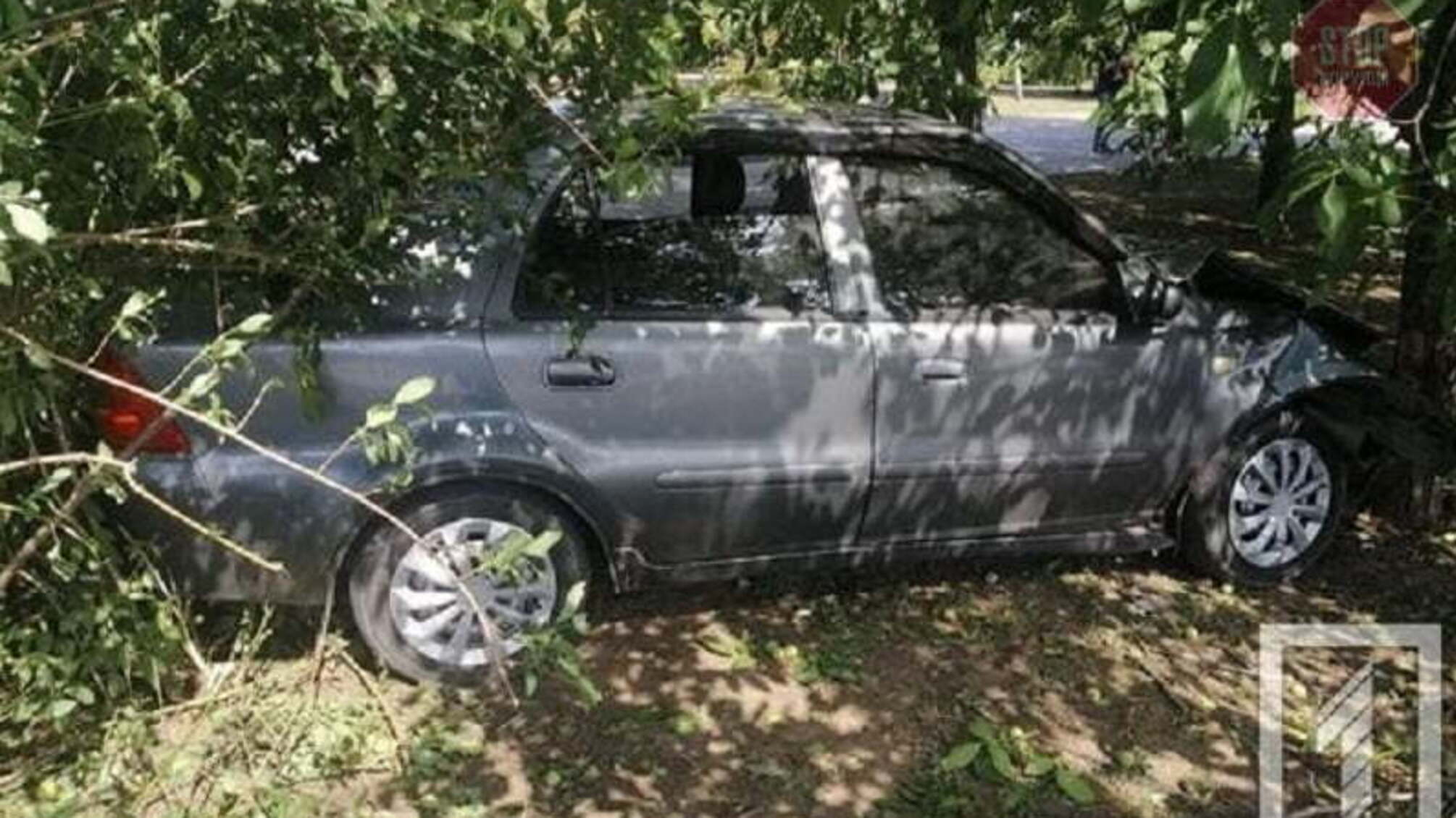 На Дніпропетровщині водій розбився через напад епілепсії (фото)
