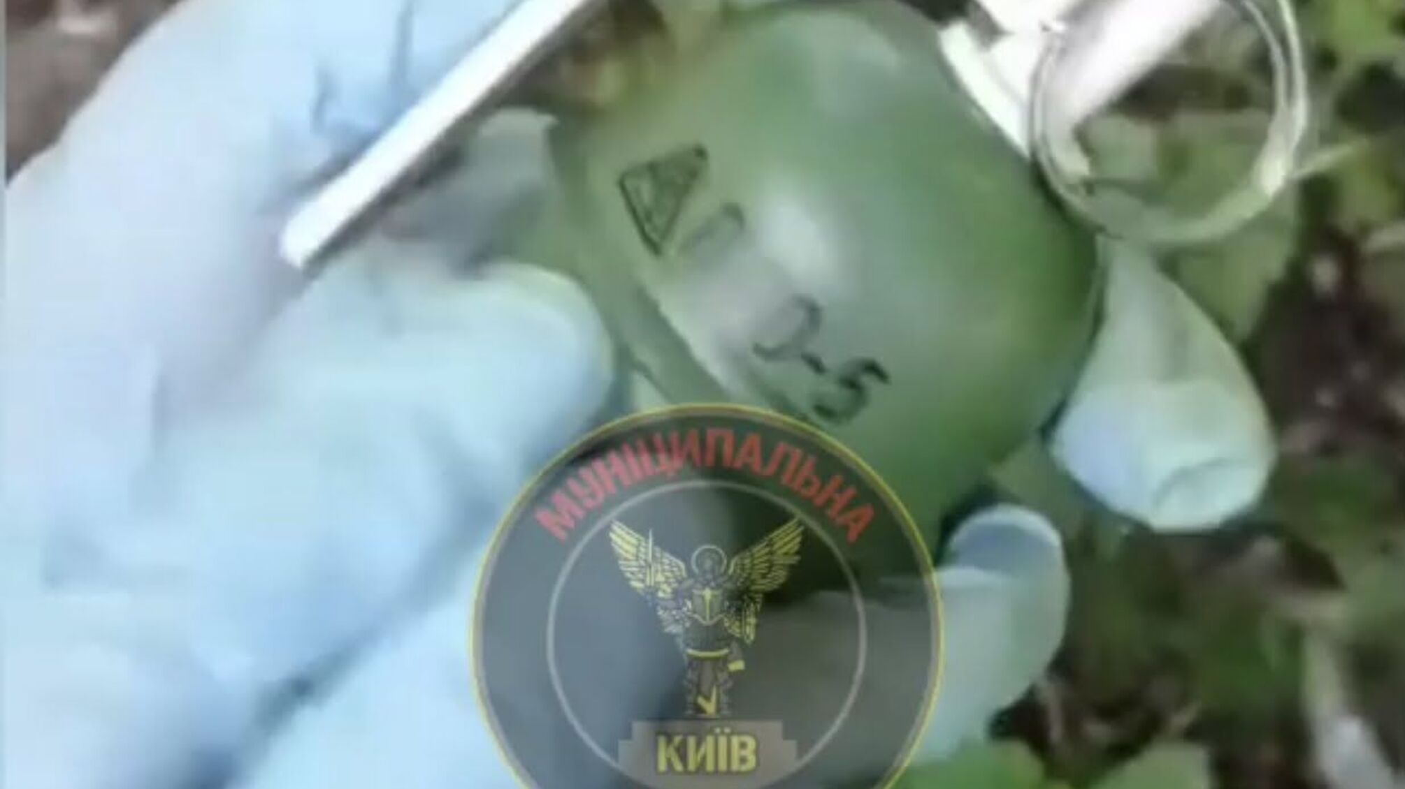 У столичному парку знайшли гранату (відео)