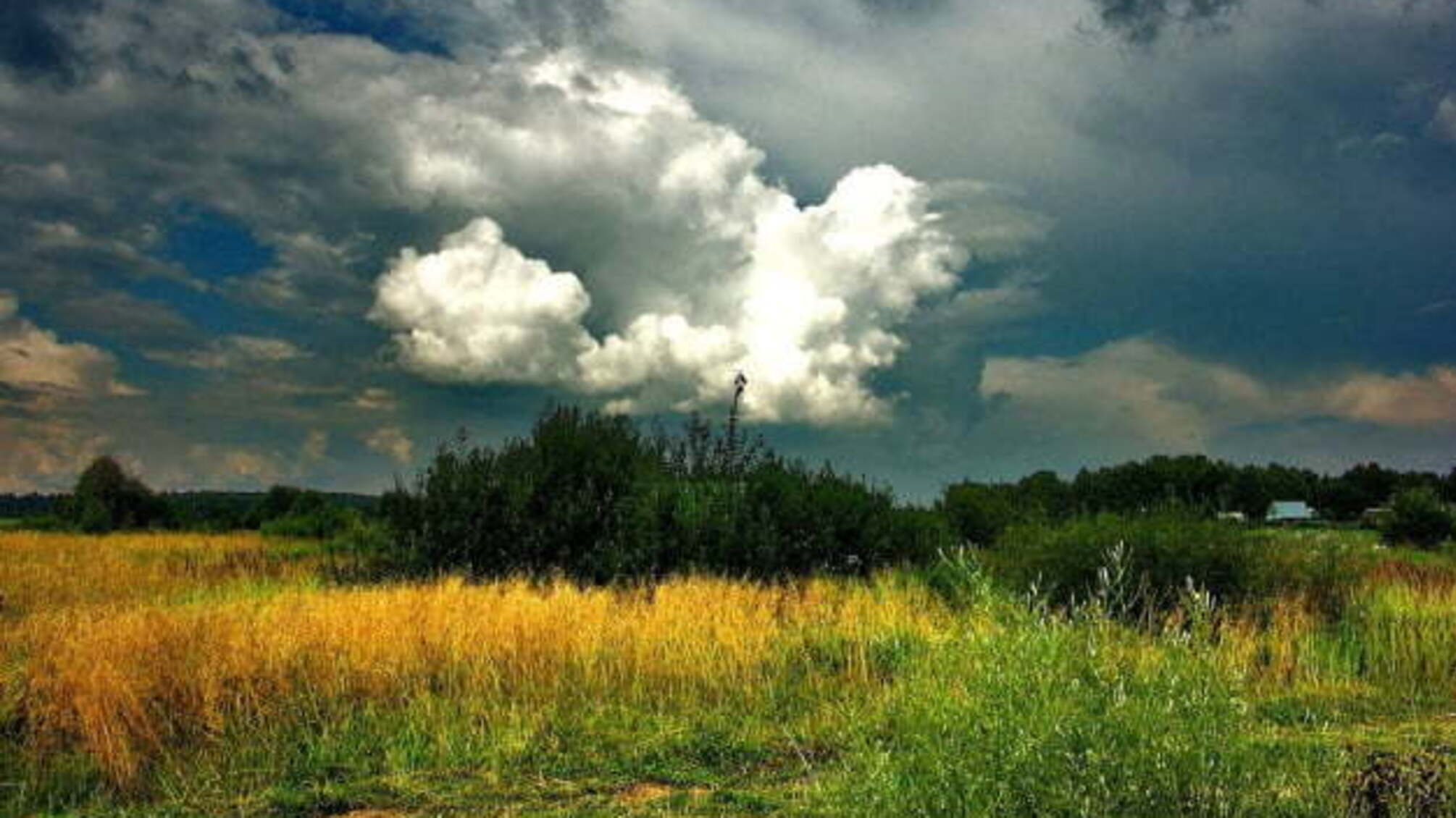 Синоптики прогнозують дощі з грозами та спеку до +39°