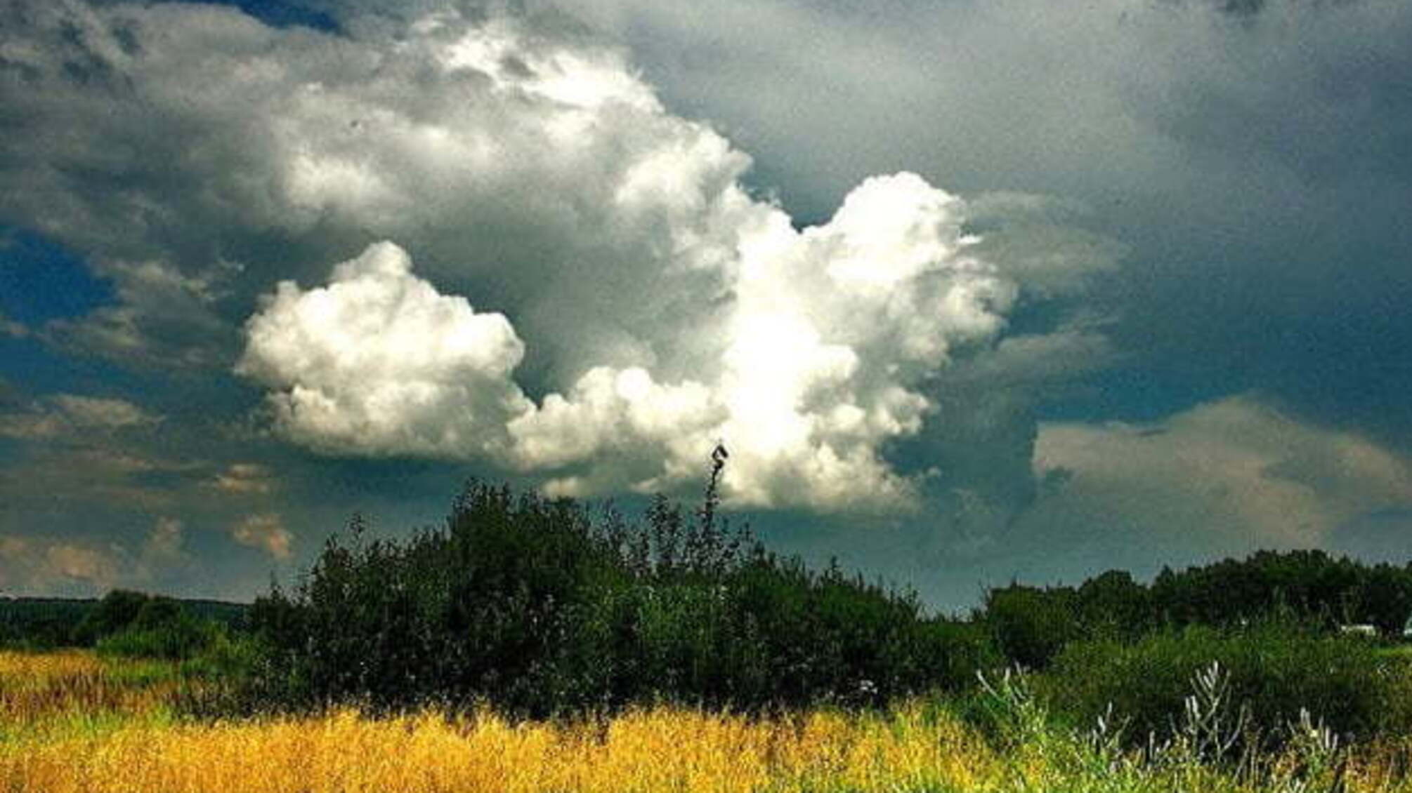 В Україні очікується надзвичайна пожежна небезпека