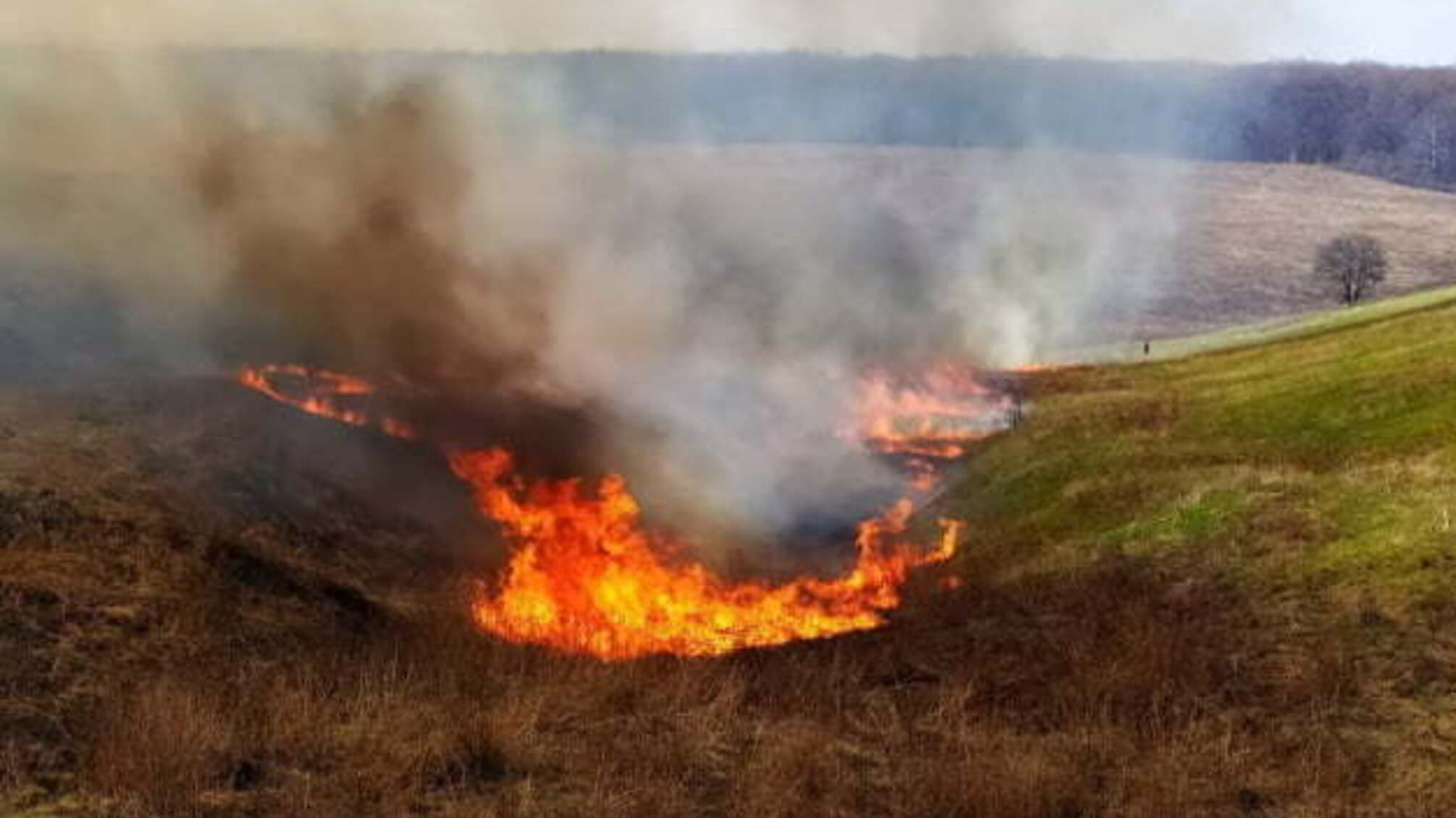 На Луганщині знову горіла трава, пожежу ліквідували