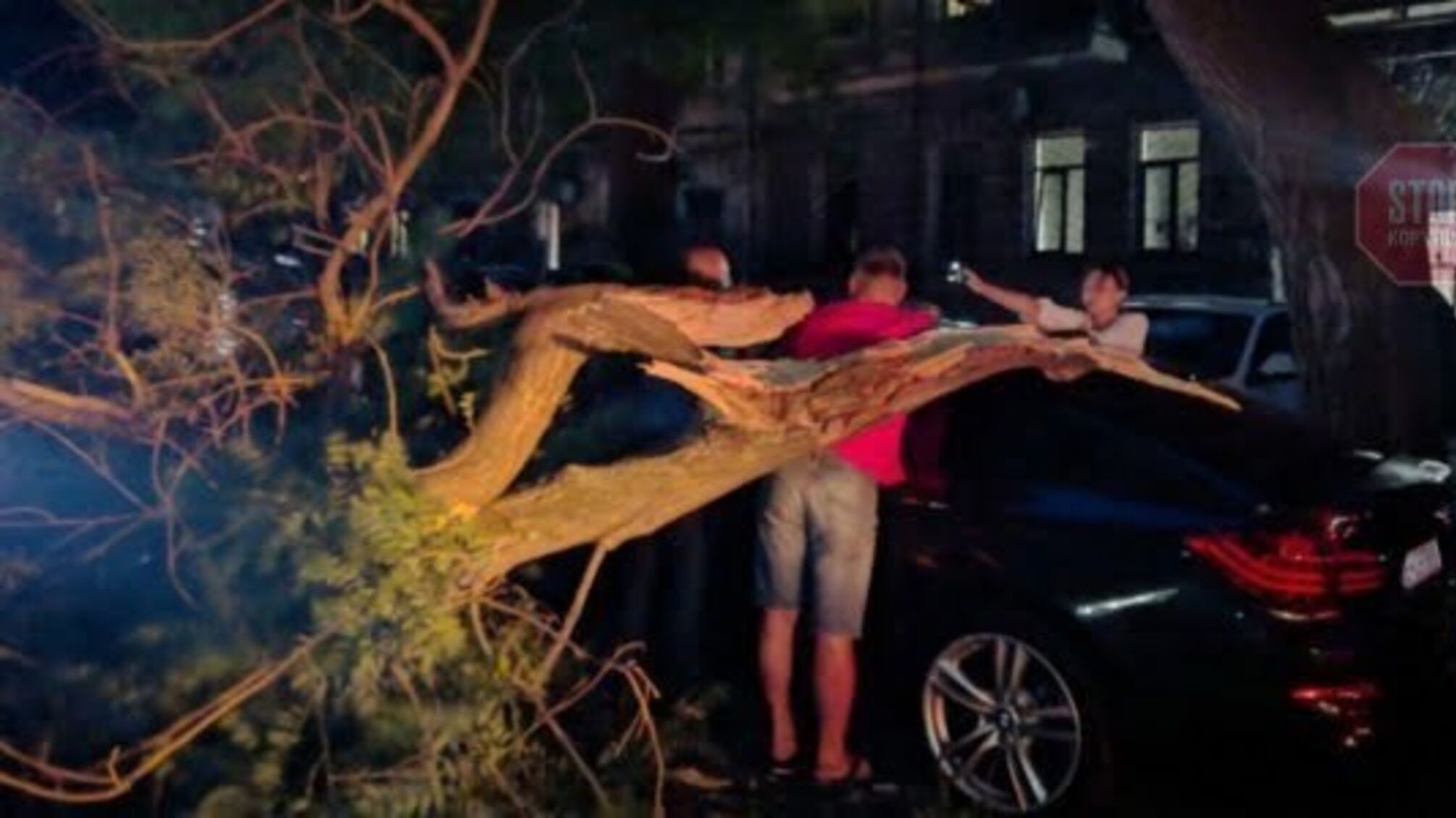 В Одесі вітер повалив дерева: двоє людей постраждали