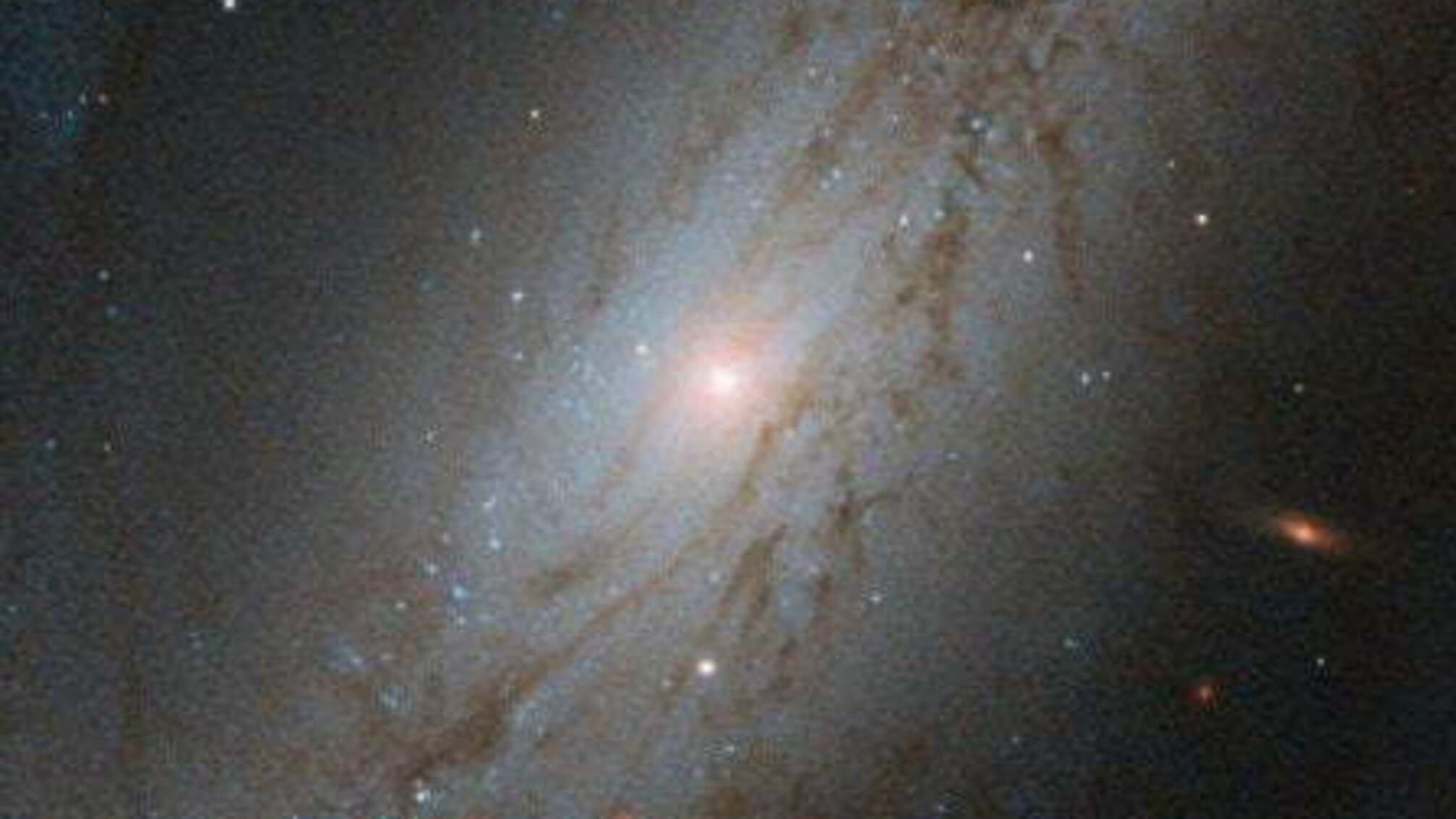 Вчені показали фото унікальної галактики