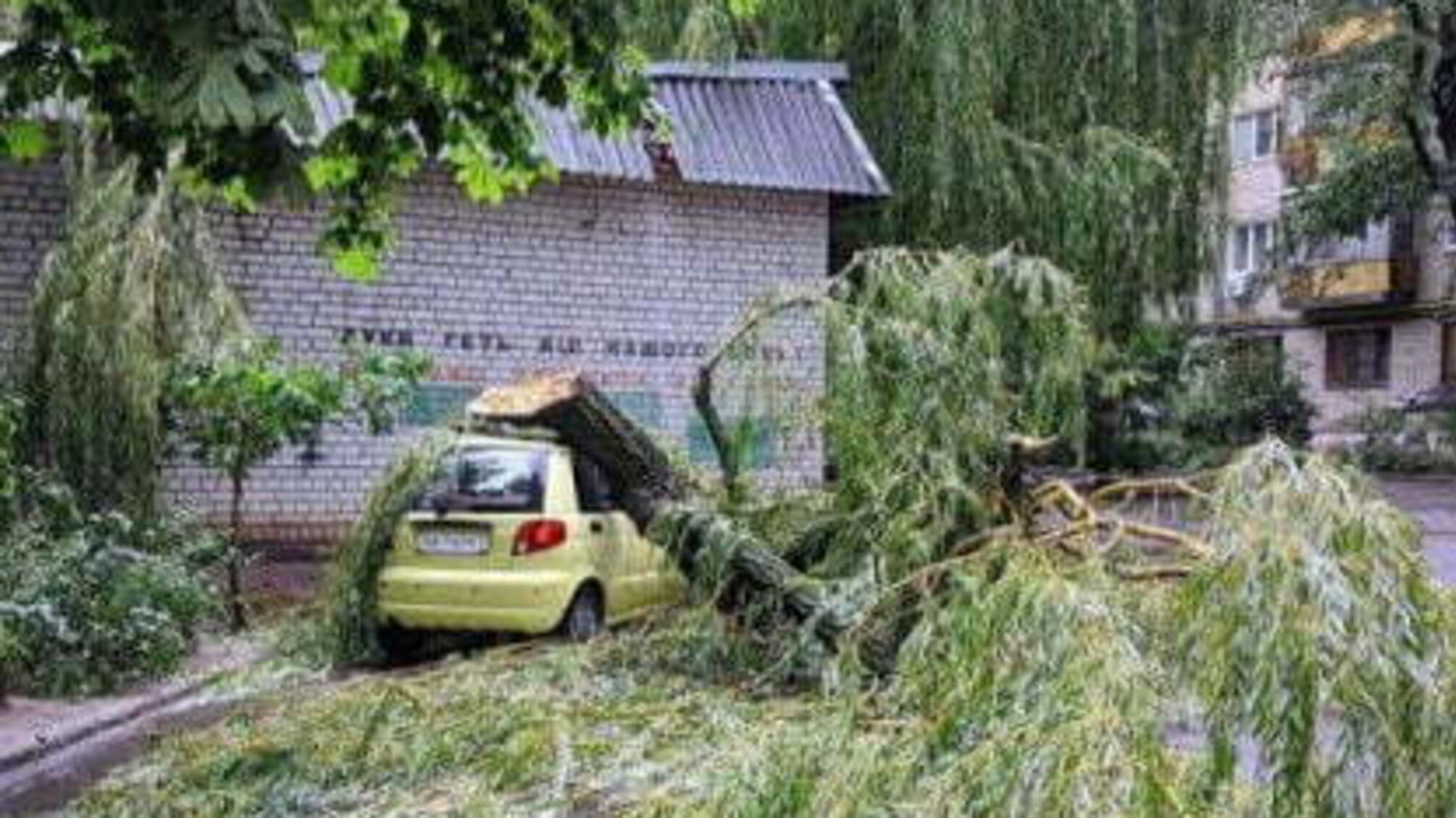 Злива в Києві повалила дерева на автівки
