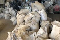 У Житомирській області у дохід держави конфіскували понад 9 тонн бурштину (фото)