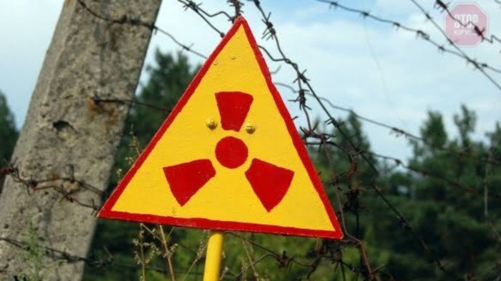 У Чорнобильській зоні прикордонники затримали збиральників ягоди для продажу