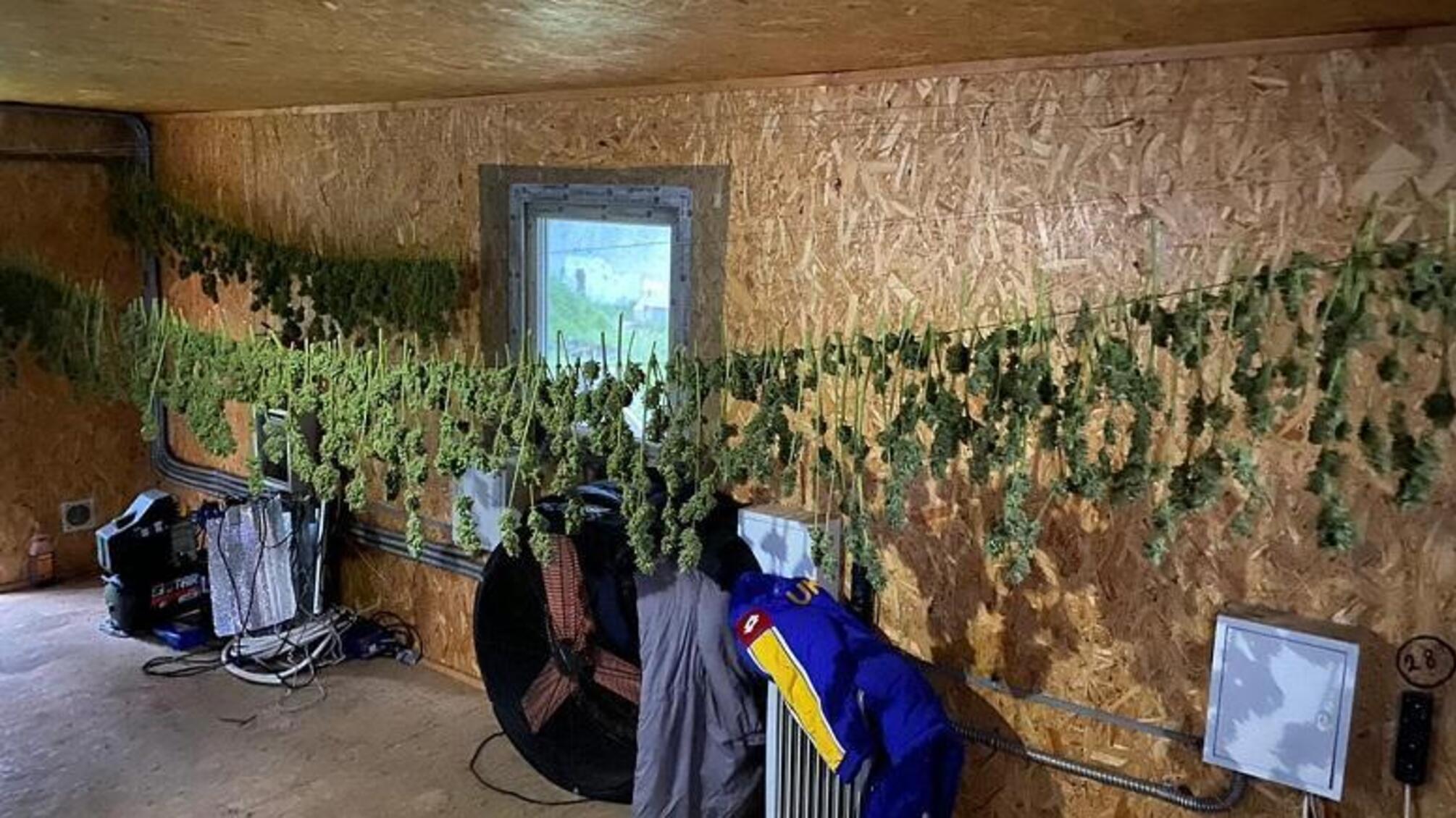 Столичні правоохоронці вилучили у чоловіка канабіс на суму близько 5 мільйонів гривень