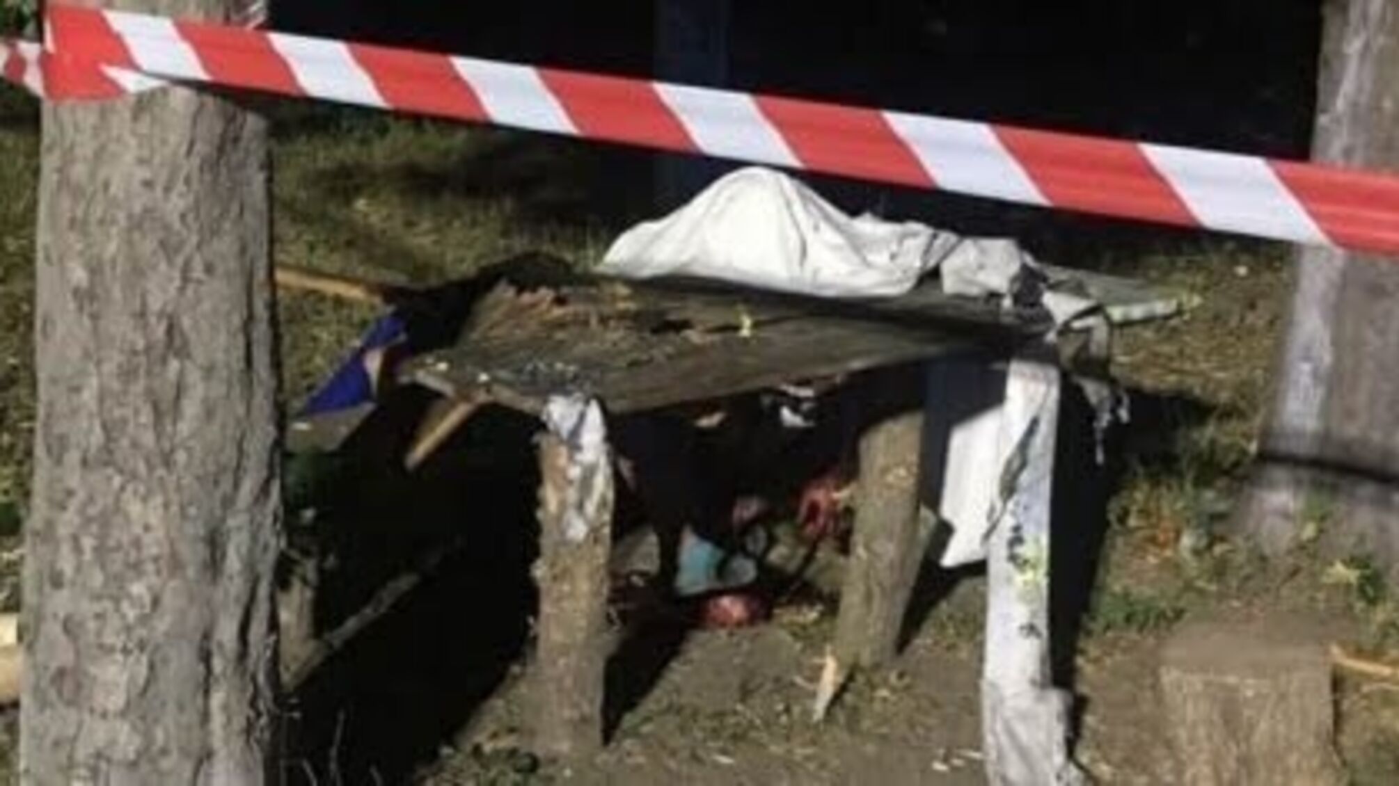 Троє людей загинули через вибух гранати на Чернігівщині (фото)