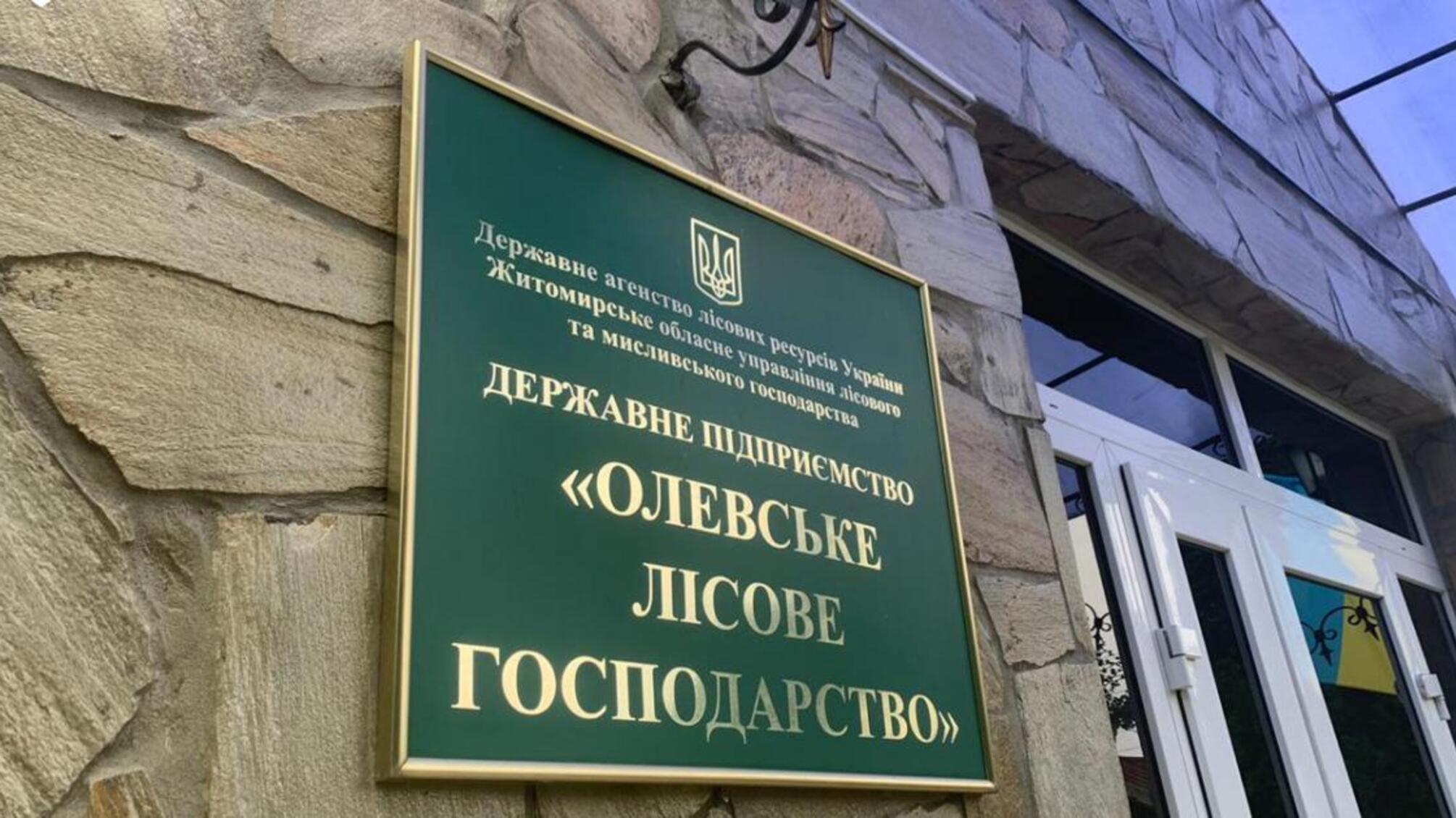 2,5 млн грн збитків - ДБР викрило організовану злочинну групу у складі 15 осіб, що займалася незаконною рубкою державних лісів на Житомирщині