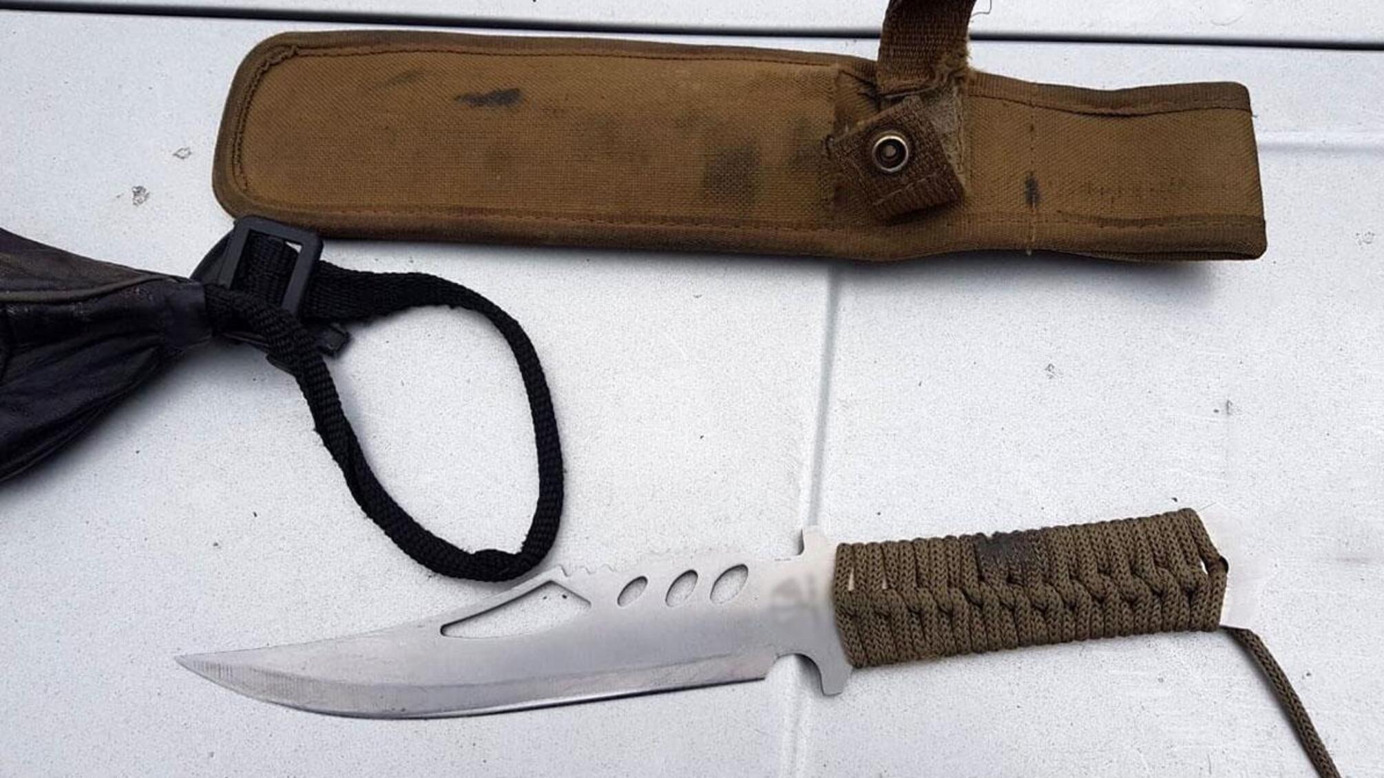 На Полтавщині поліція затримала озброєних зловмисників, які намагалися втекти після розбійного нападу на будинок місцевого жителя