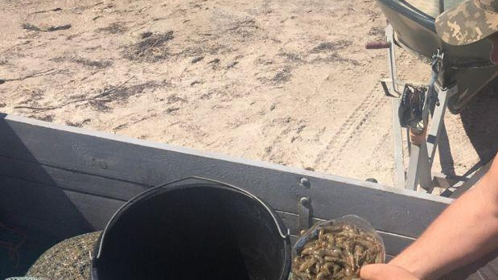 У заповіднику на Миколаївщині поліція та екологічна інспекція викрила браконьєрів на незаконному вилові креветки