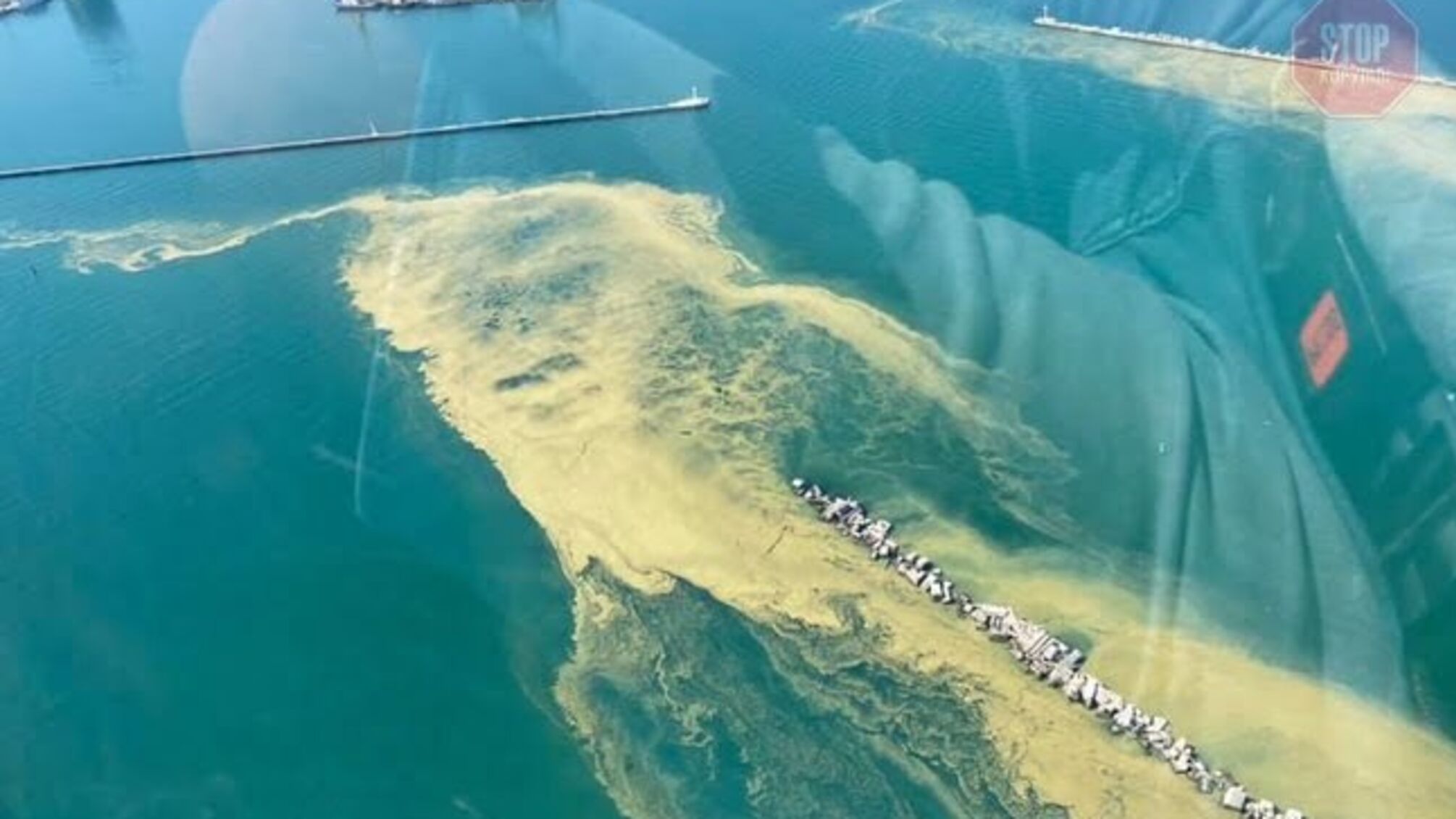 Отруйне море: в Одесі закликають не купатися через 'цвітіння' (фото)