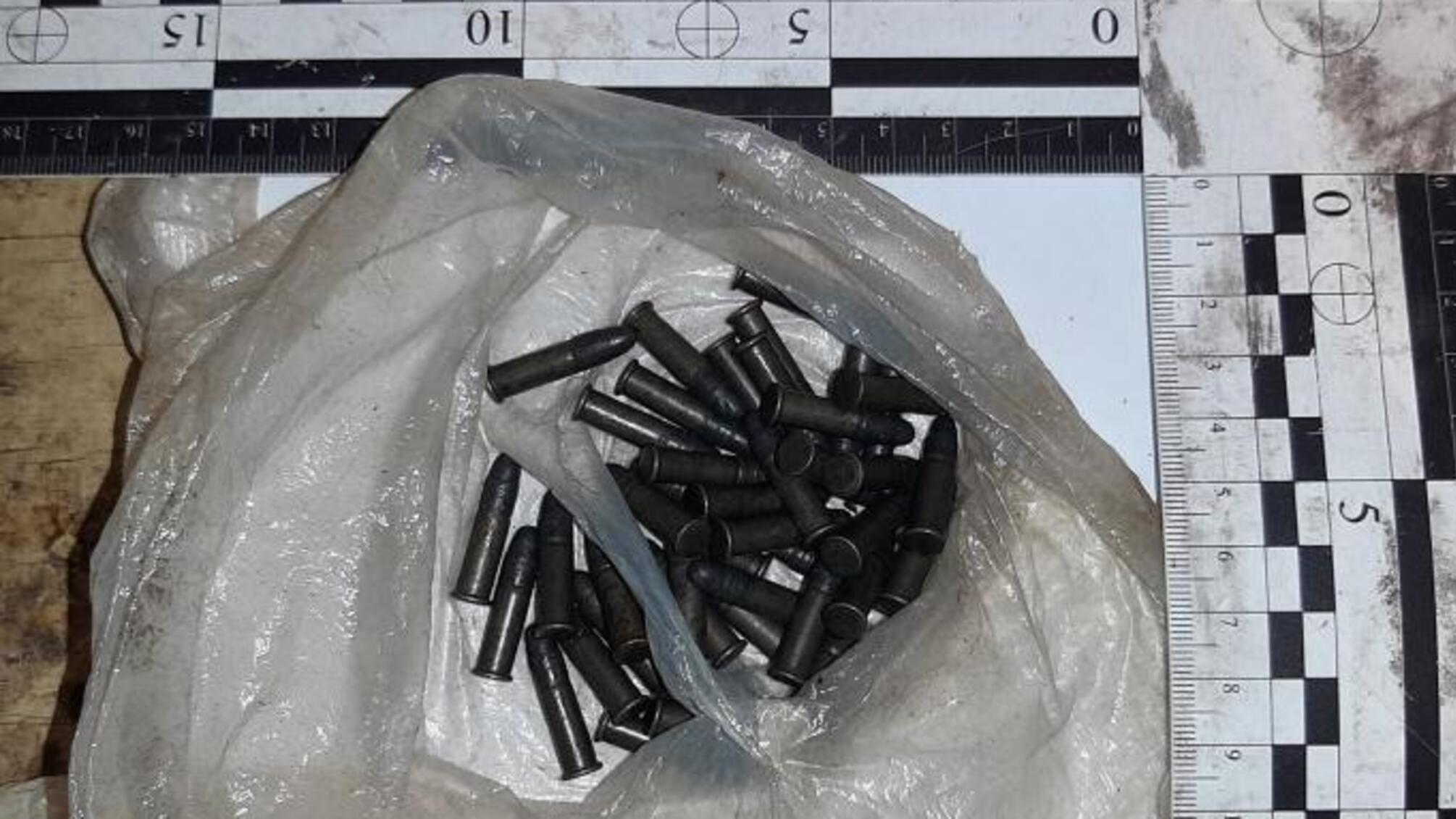 Поліцейські вилучили у жителя Тарутинського району боєприпаси