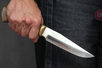 У Миколаєві невідомі з ножем напали на намет ''ОПЗЖ'' (фото)