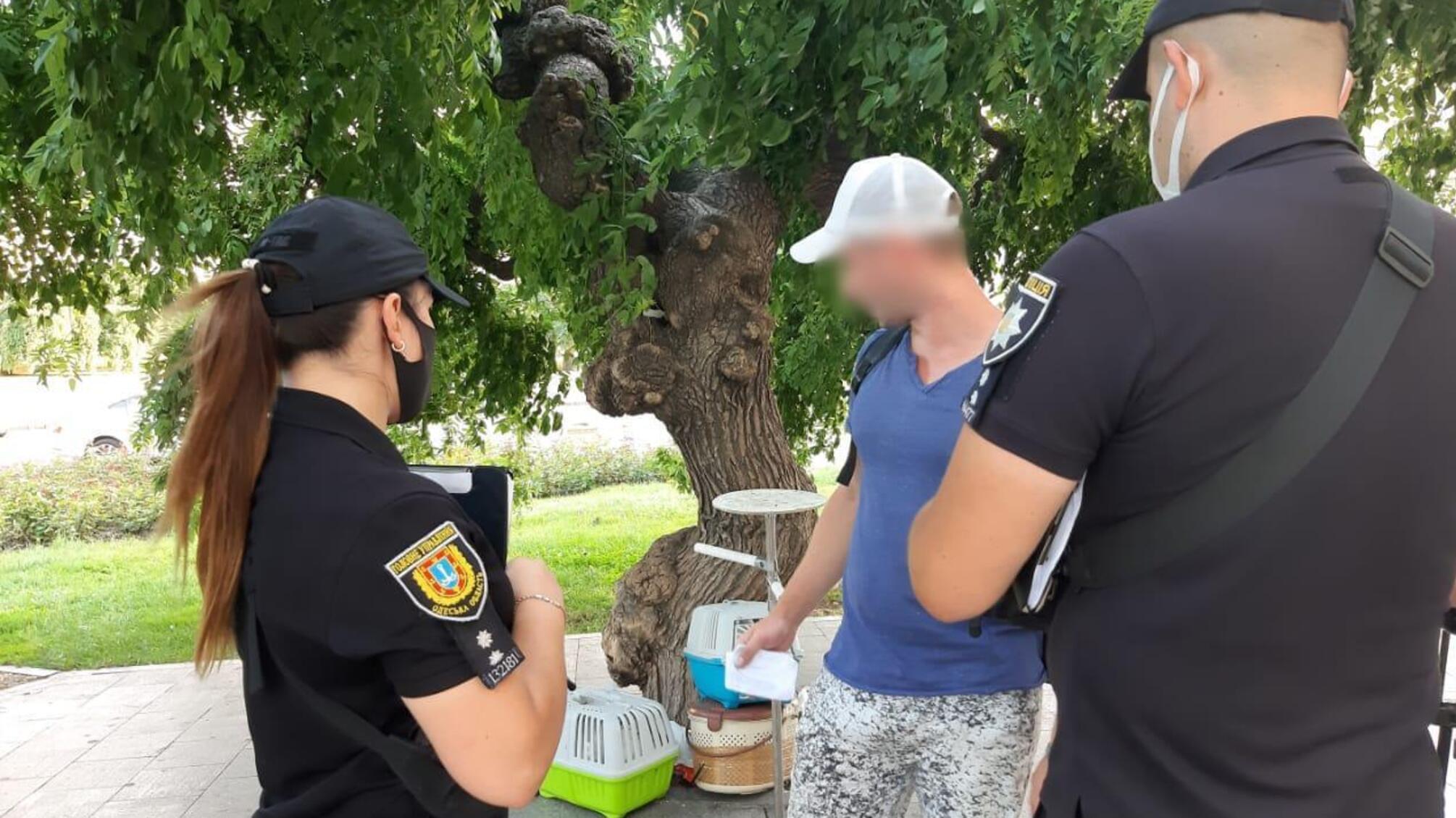 Одеські поліцейські проводять профілактичні заходи щодо попередження правопорушень, пов’язаних з експлуатацією тварин