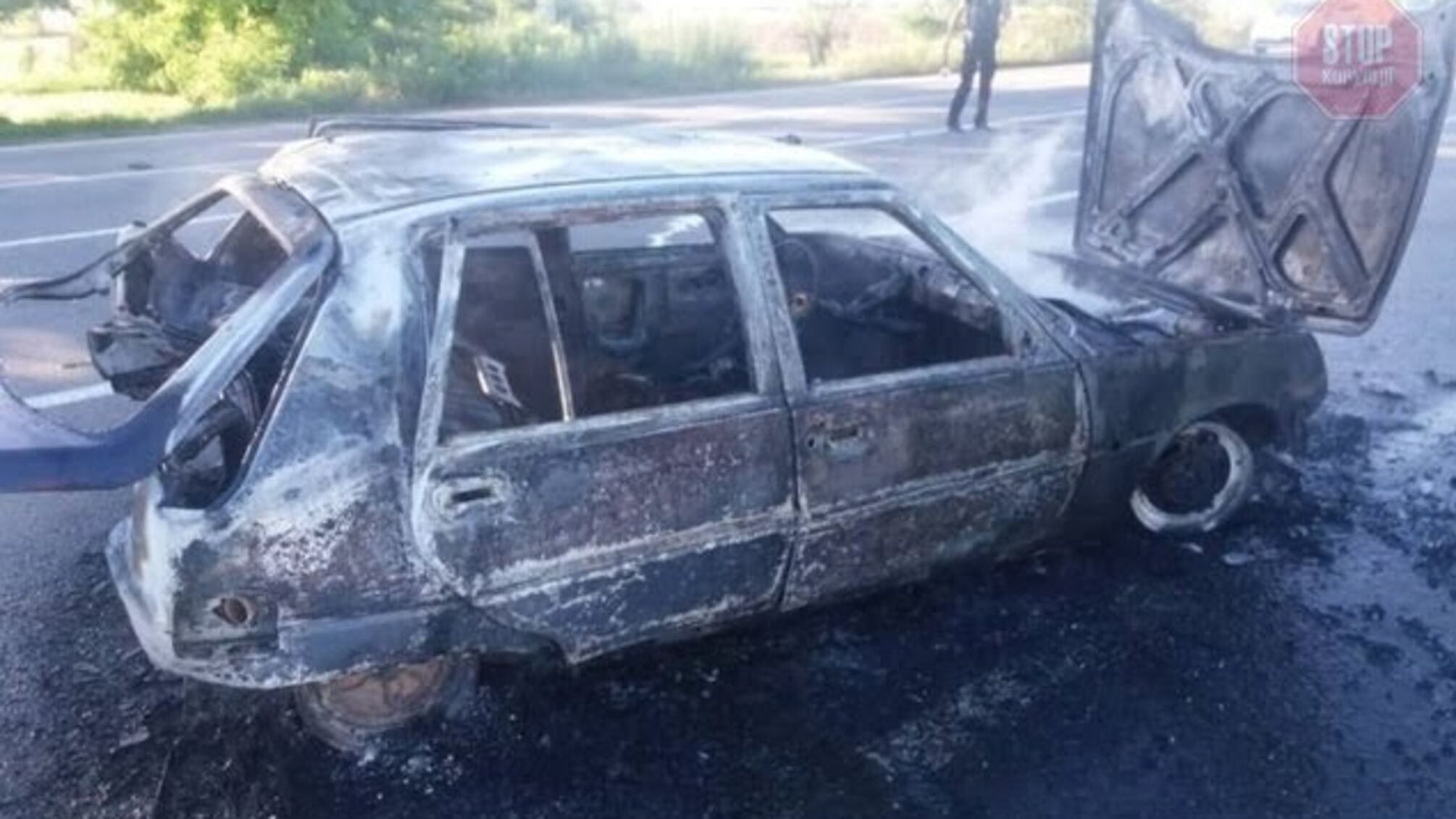 Моторошна ДТП на Миколаївщині: водій заживо згорів у авто (фото)