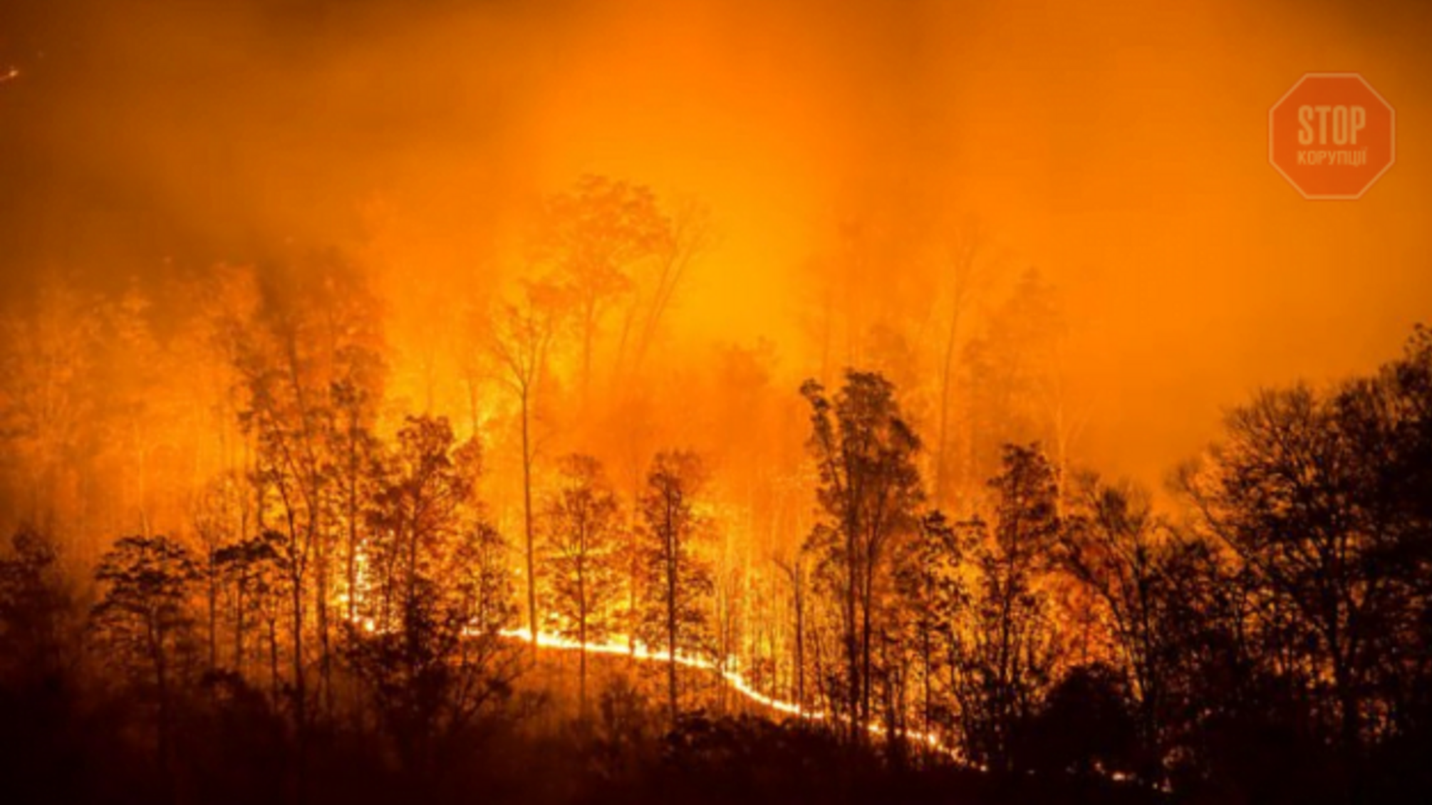 Екологічна катастрофа в Росії: палають сибірські ліси