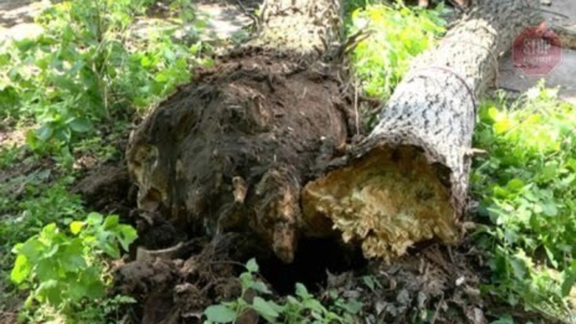 Півсотні населених пунктів без електрики через негоду