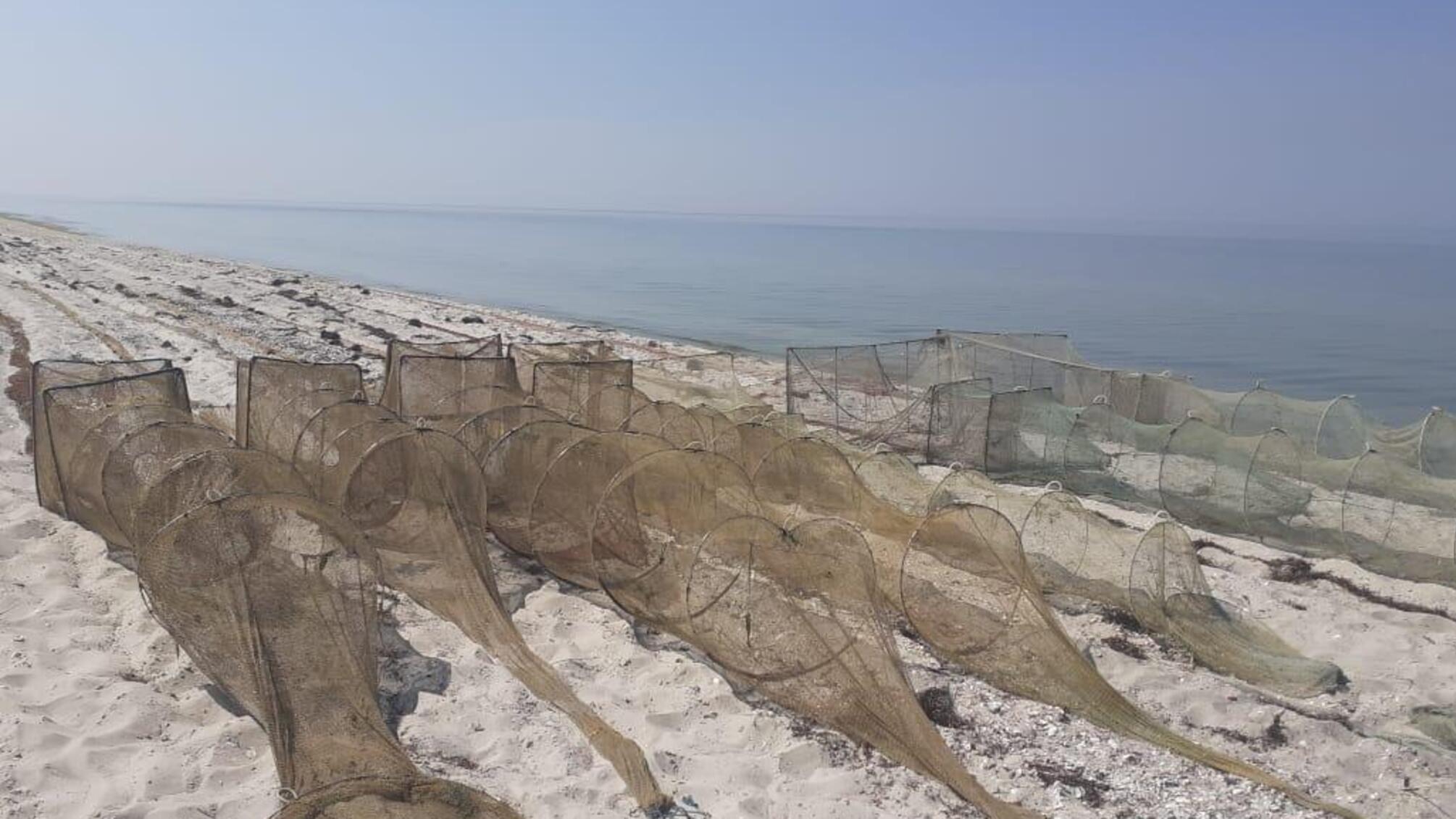 На Миколаївщині співробітники водної поліції затримали браконьєрів, які виловлювали креветку