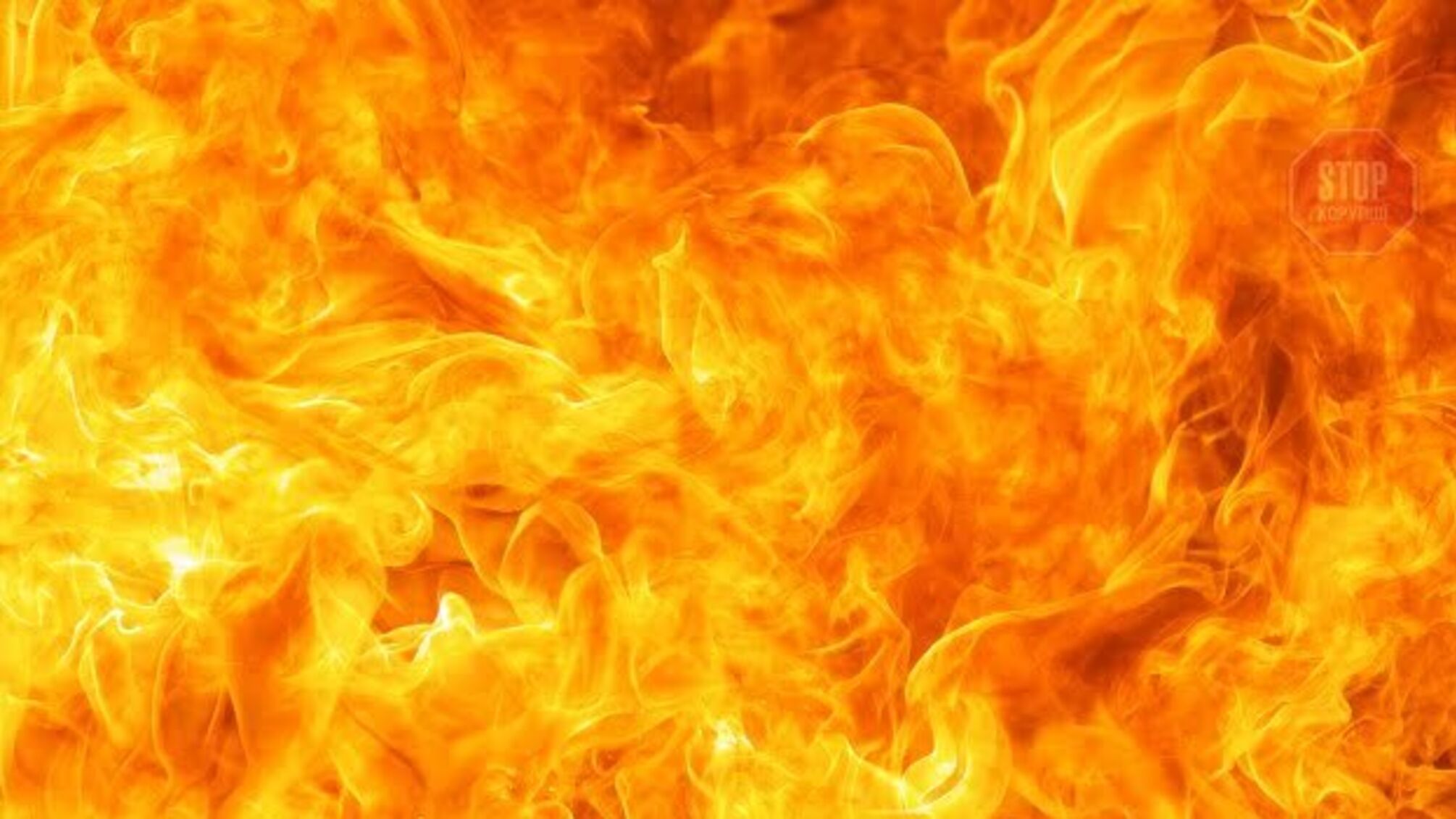 На Харківщині під час спалювання сухої трави загинула жінка