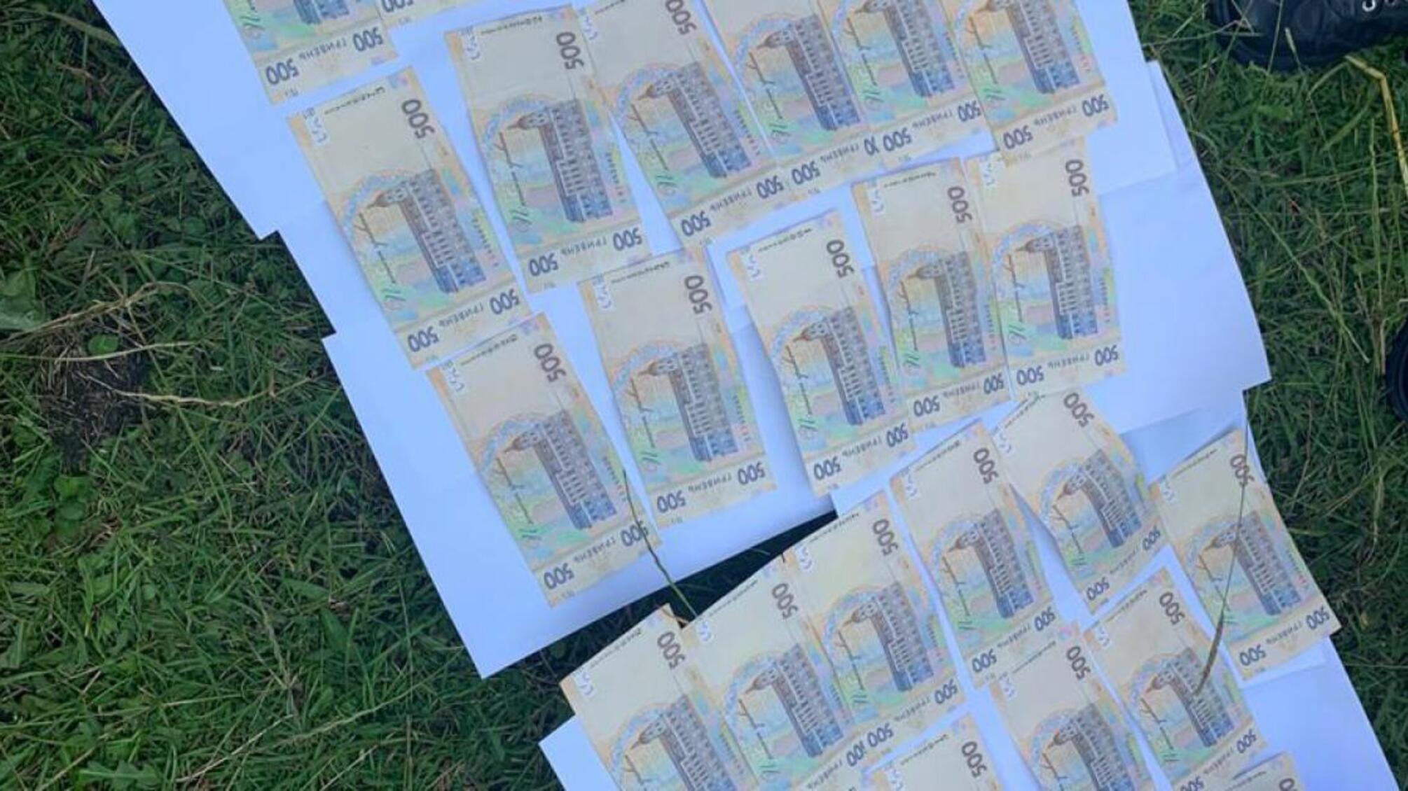 Хабар за продаж декоративних дерев – ДБР затримало посадовця лісгоспу