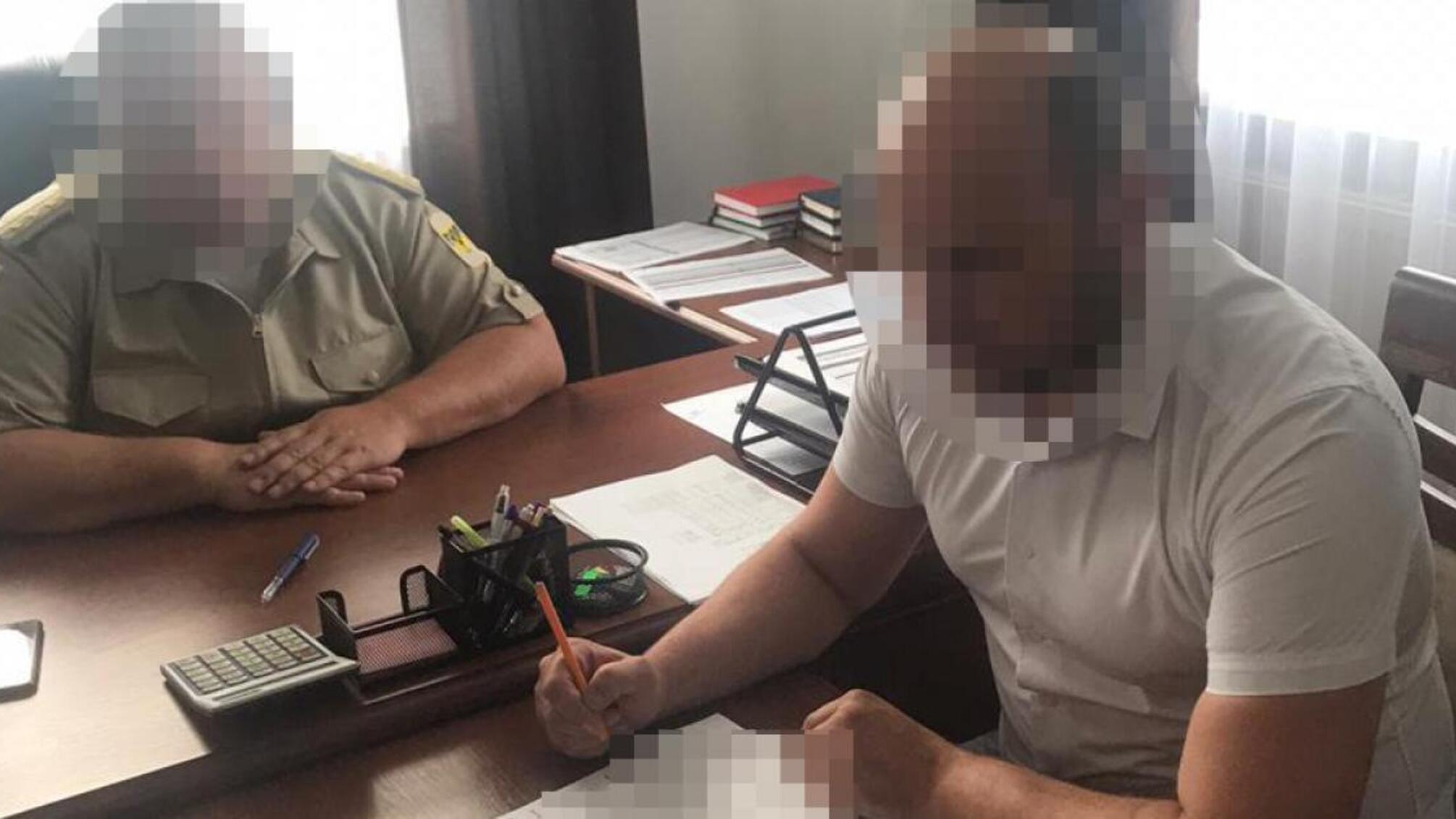 Понад 17 мільйонів збитків через вирубку лісу – ДБР повідомило про підозру посадовцю лісової охорони