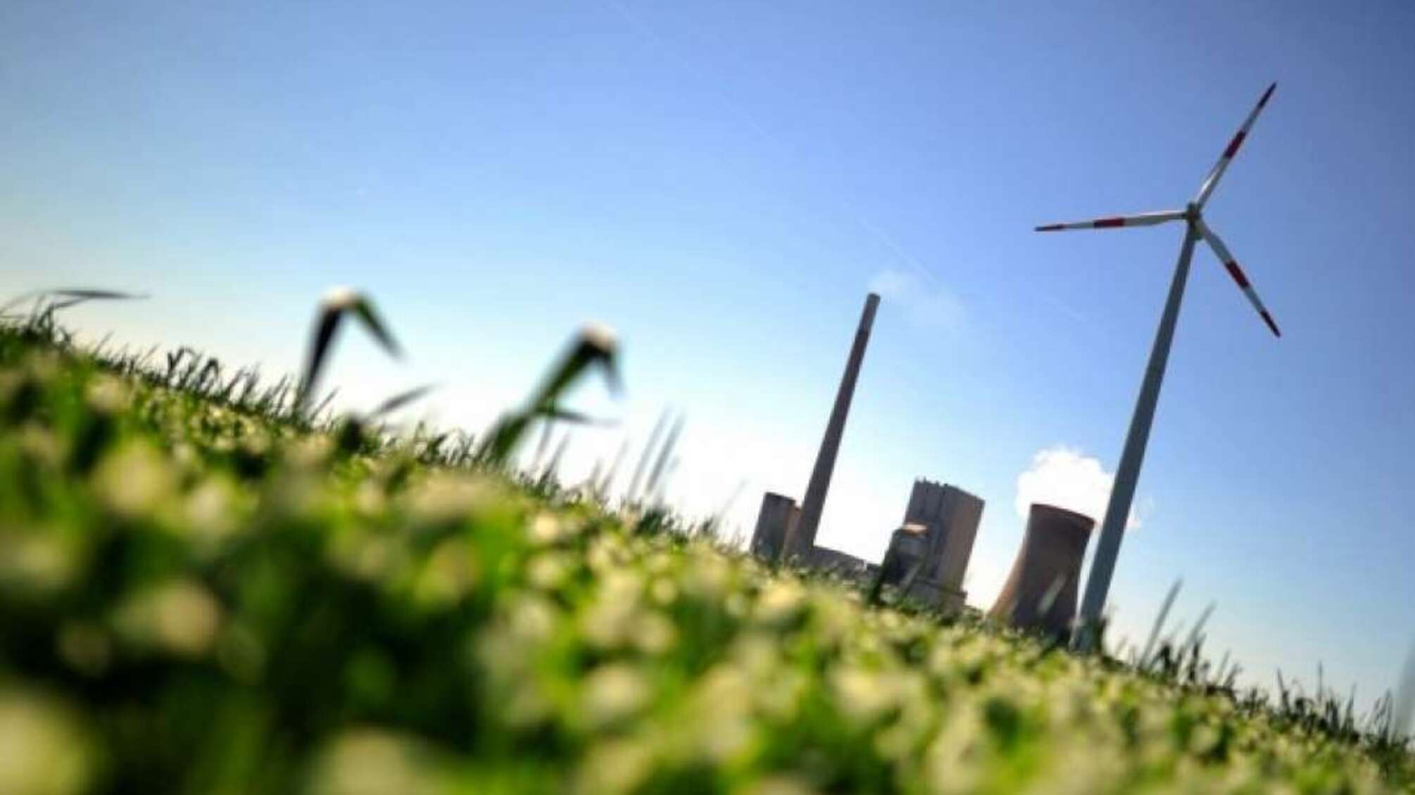 Закон про зниження «зелених» тарифів може призвести до банкрутства цілої галузі, – інвестори