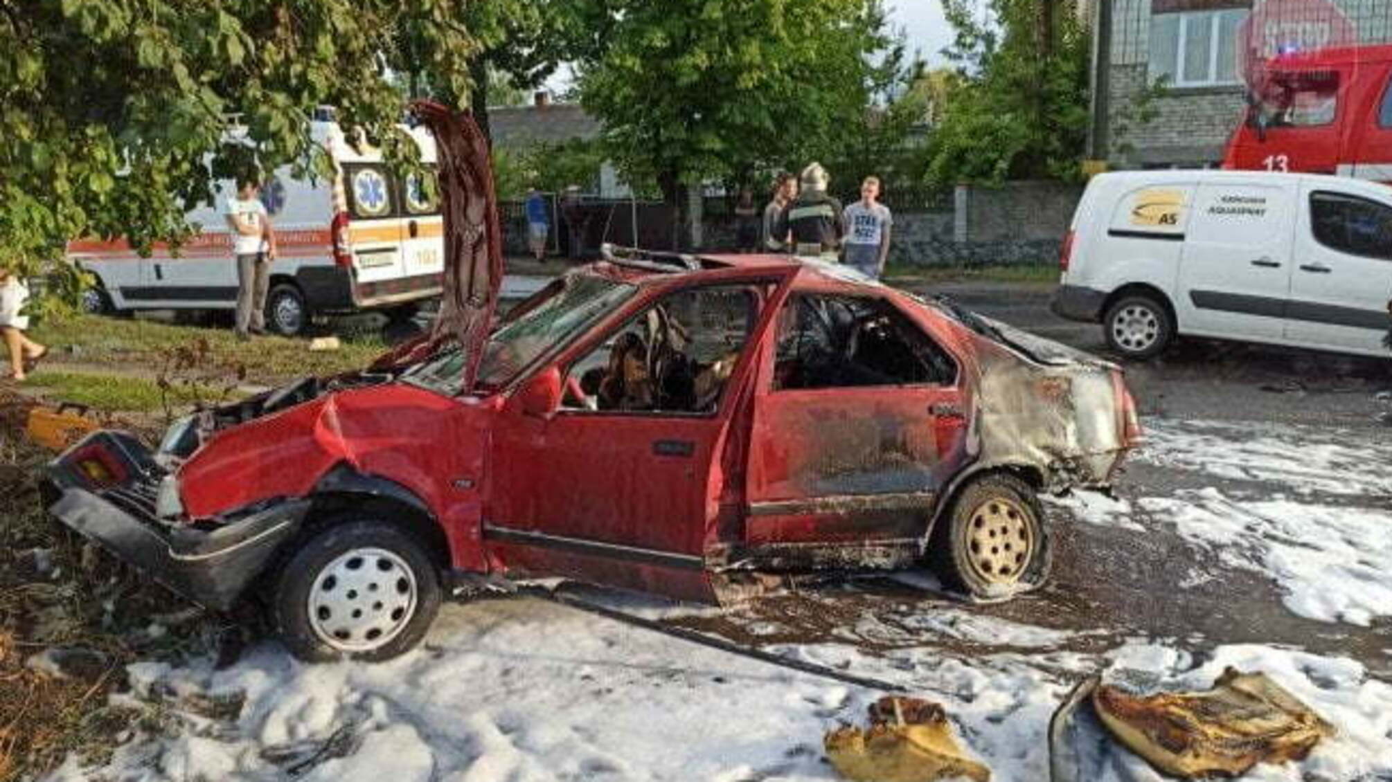 У Житомирській області загорілося авто із заблокованою всередині жінкою (фото)