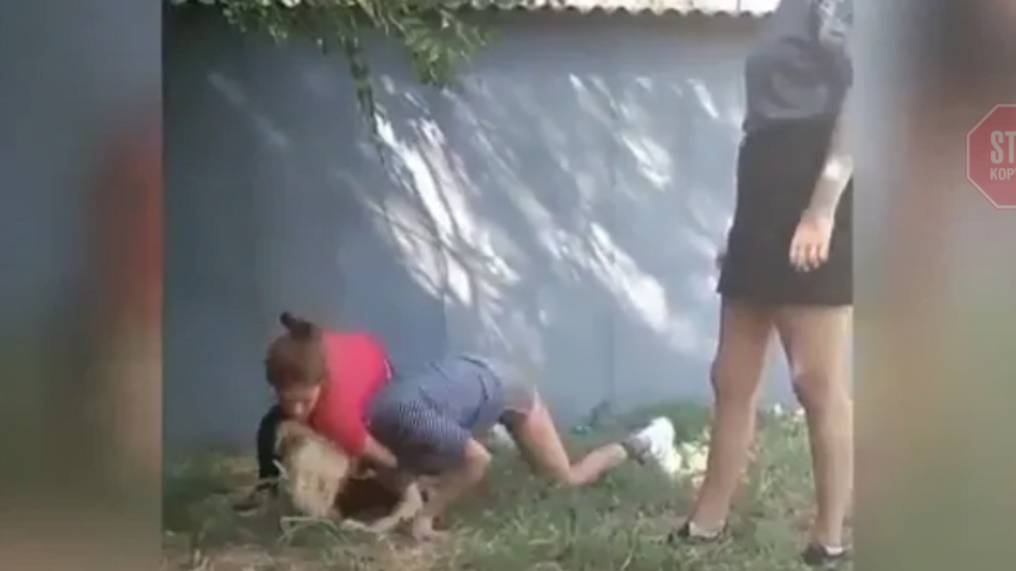 На Дніпропетровщині група школярок сильно побили дівчинку-підлітка (відео)