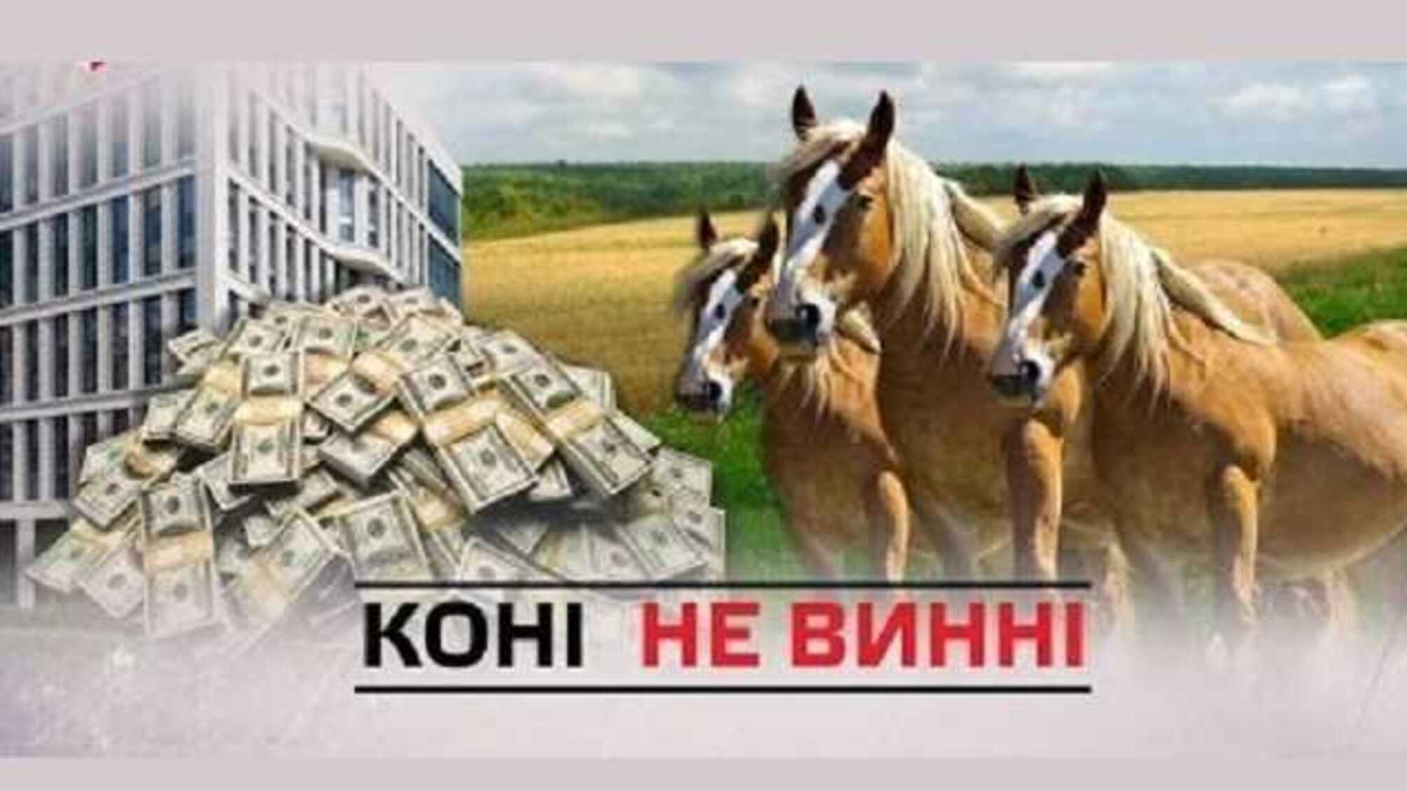 Зелене світло для Згари і компанії: клан «смотрящіх» за стайнями Януковича рейдернув конярство України