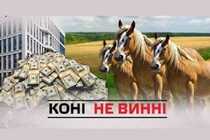 Зелене світло для Згари і компанії: клан «смотрящіх» за стайнями Януковича рейдернув конярство України
