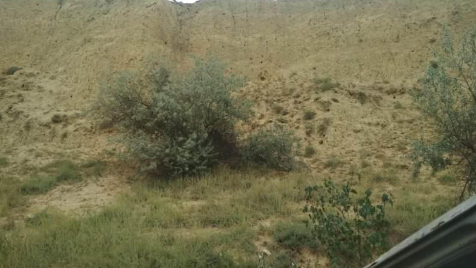 Поліцейські розслідують обставини ДТП в Ізмаїльському районі з двома травмованими