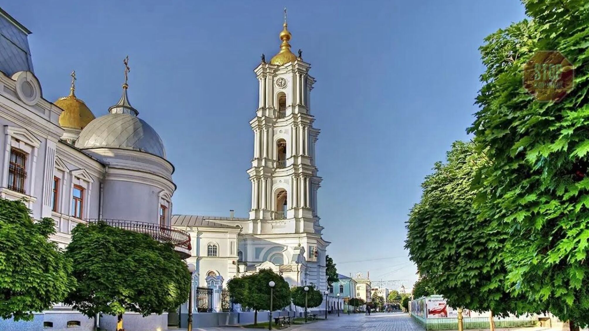 'Плати, інакше закопаємо': активістці антикорупційної організації погрожують розправою