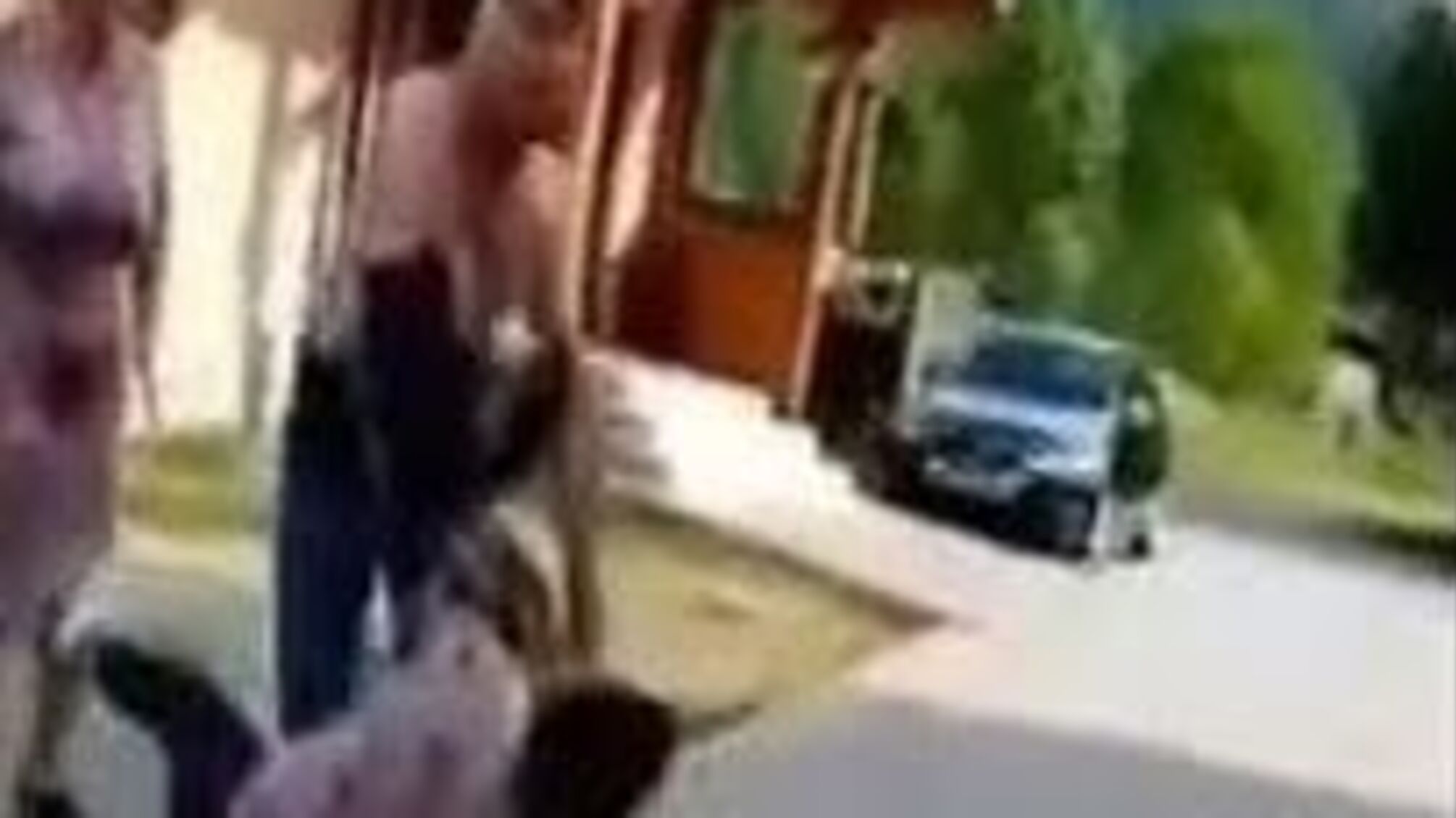 На Львівщині місцевий депутат побив жінку (відео)